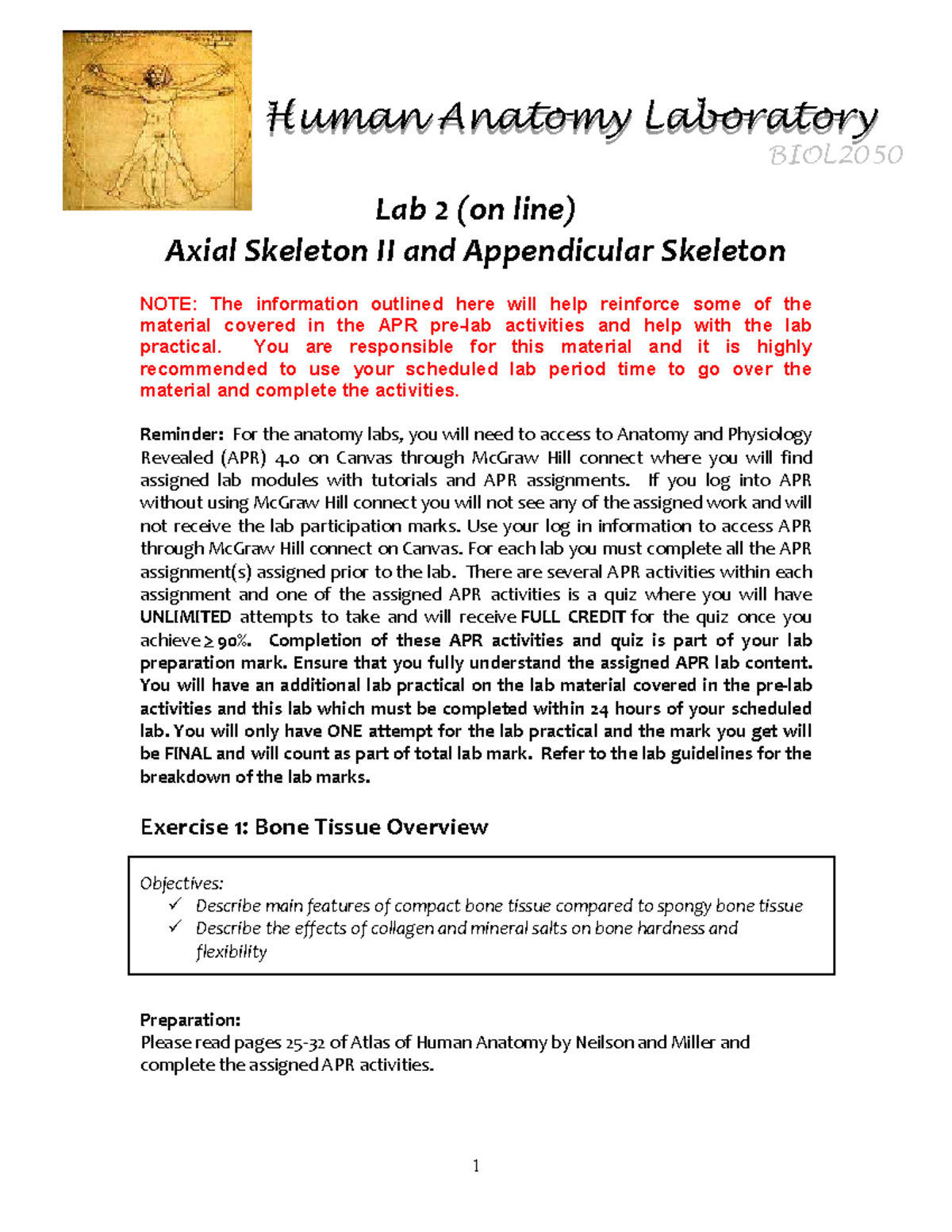 BIOL2050 Lab 2 Virtual - Lab 2 (on line) Axial Skeleton II and ...