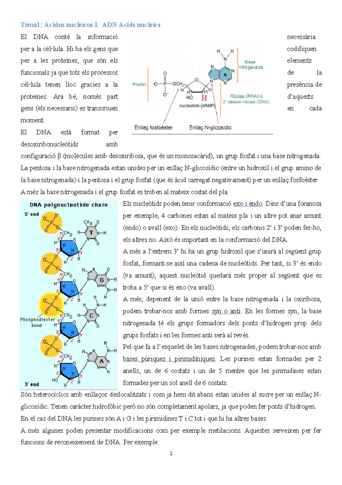 Apunts Bio mol 1 - Tots els temes que entren al examen del primer ...