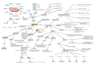Microbiology revision guide - Microbiology Revision Guide Microbiology ...