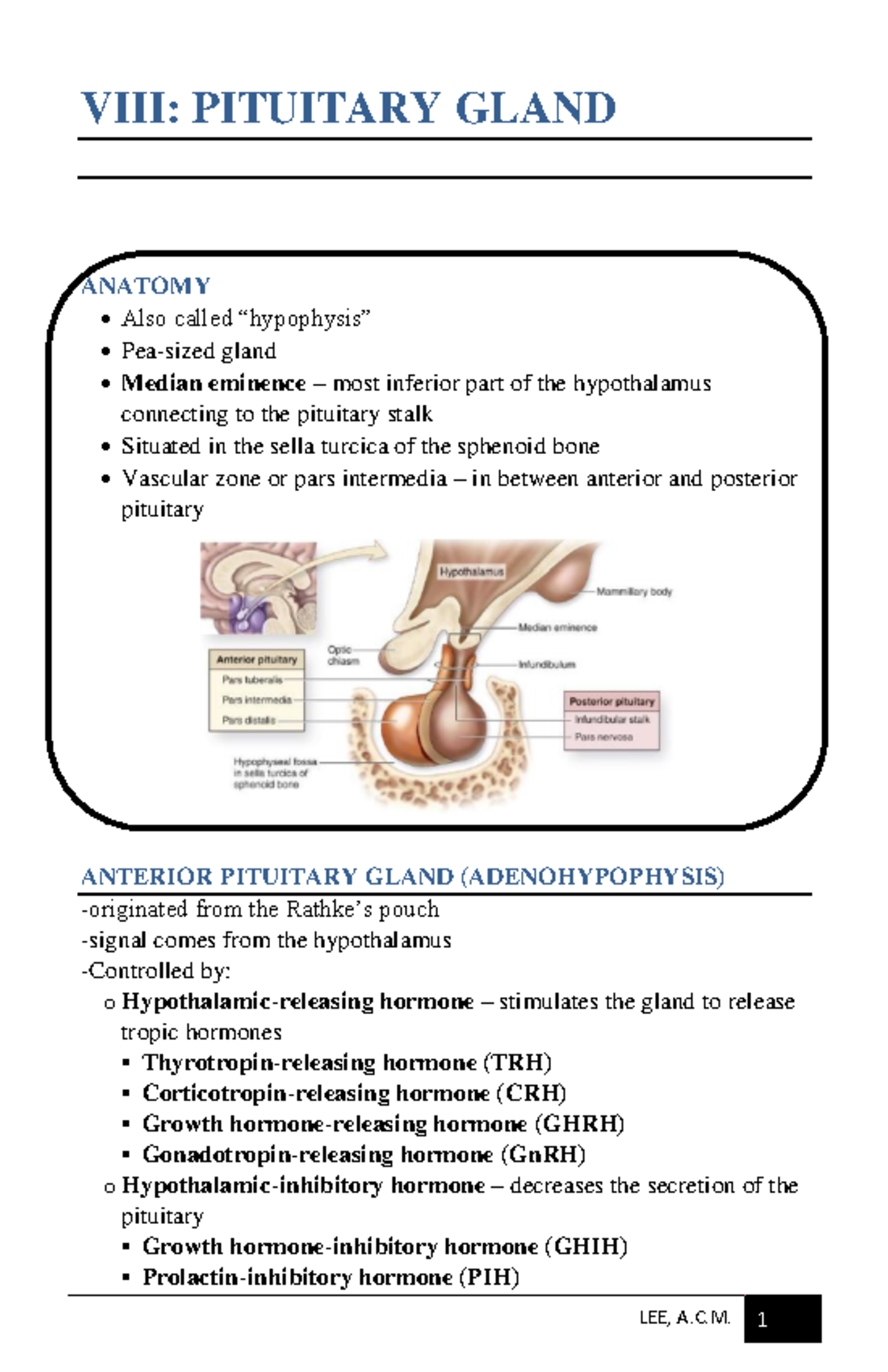 8 Pituitary Summaries Viii Pituitary Gland Anatomy Also Called “hypophysis” Pea Sized Gland 9430