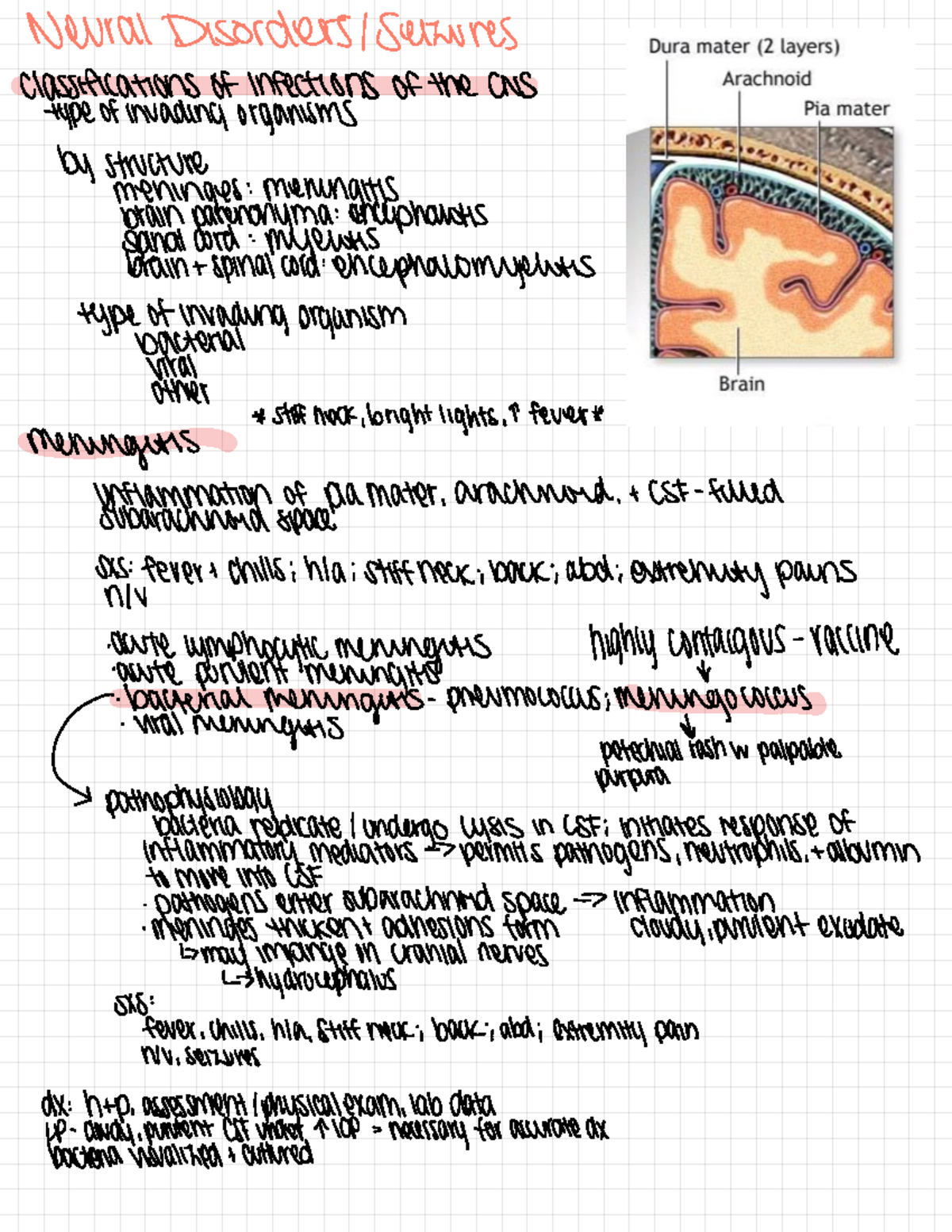 Neural Disorders Seizures - Neural Disorders / seizures classifications ...