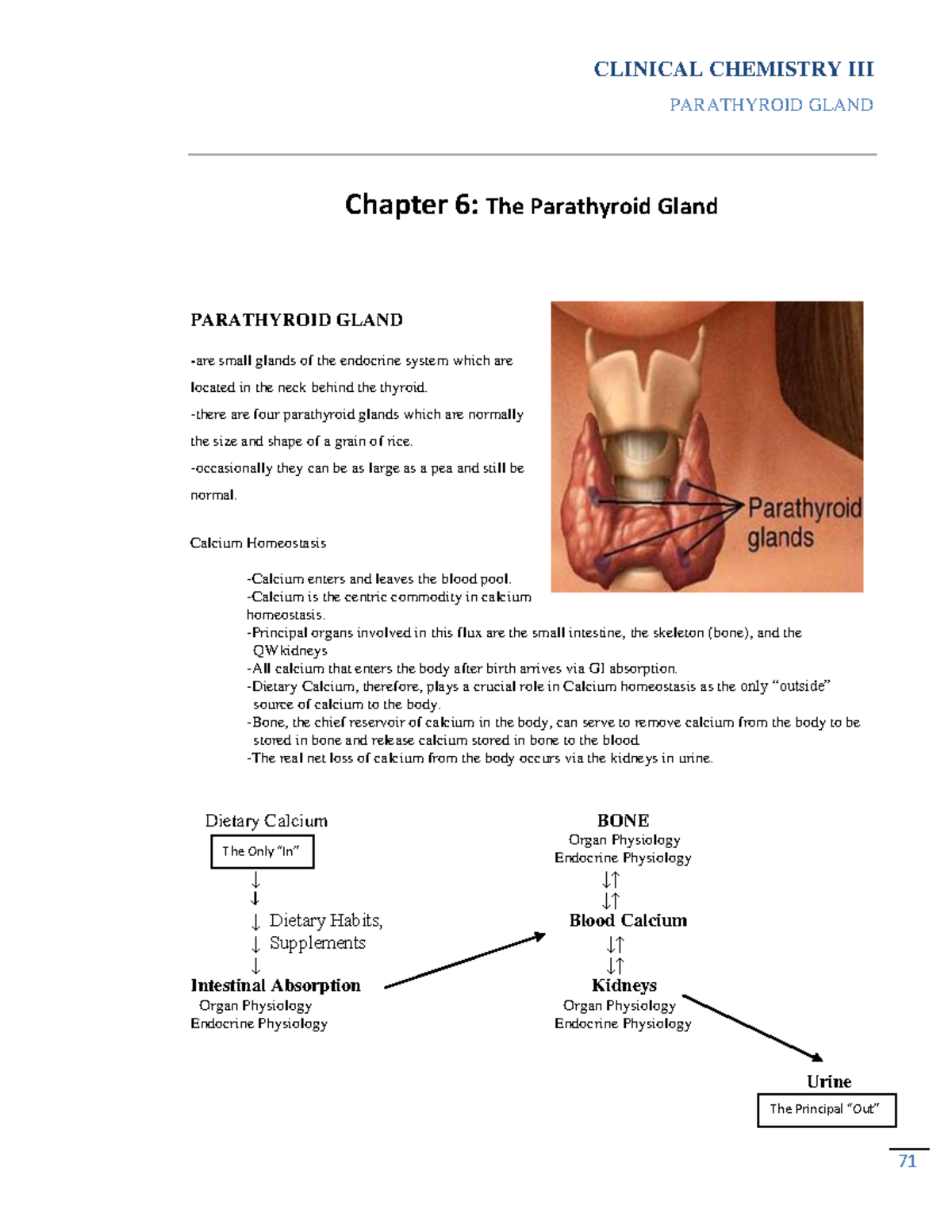 Chap6 - N/a - PARATHYROID GLAND Chapter 6: The Parathyroid Gland ...