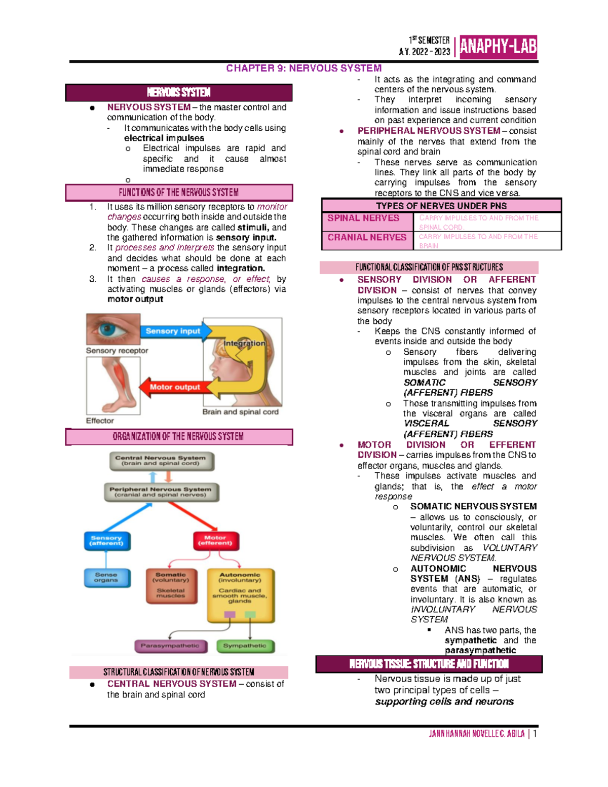 Nervous System Transes - |ANAPHY-lab CHAPTER 9: NERVOUS SYSTEM 1 st ...