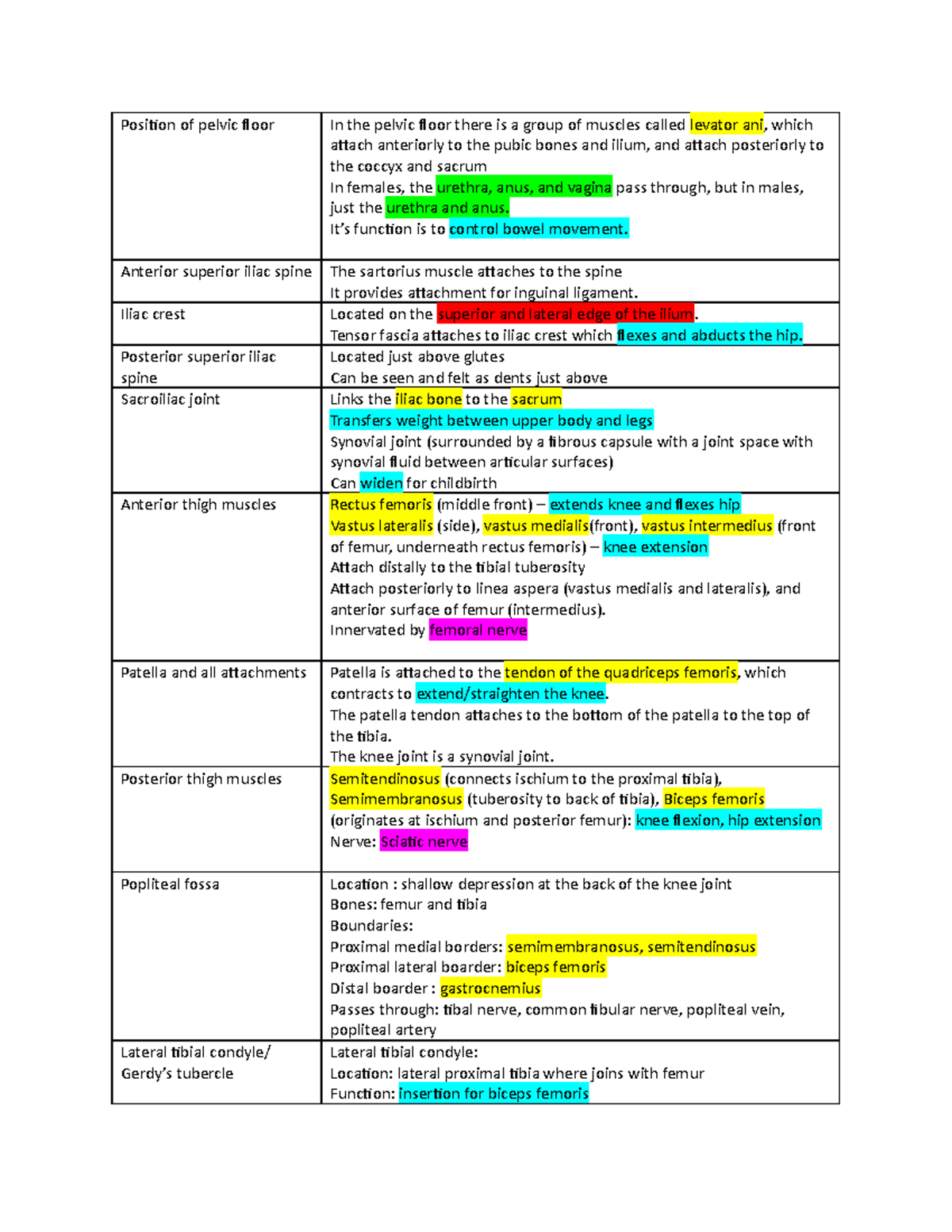 Viva notes - viva - Position of pelvic floor In the pelvic floor there ...