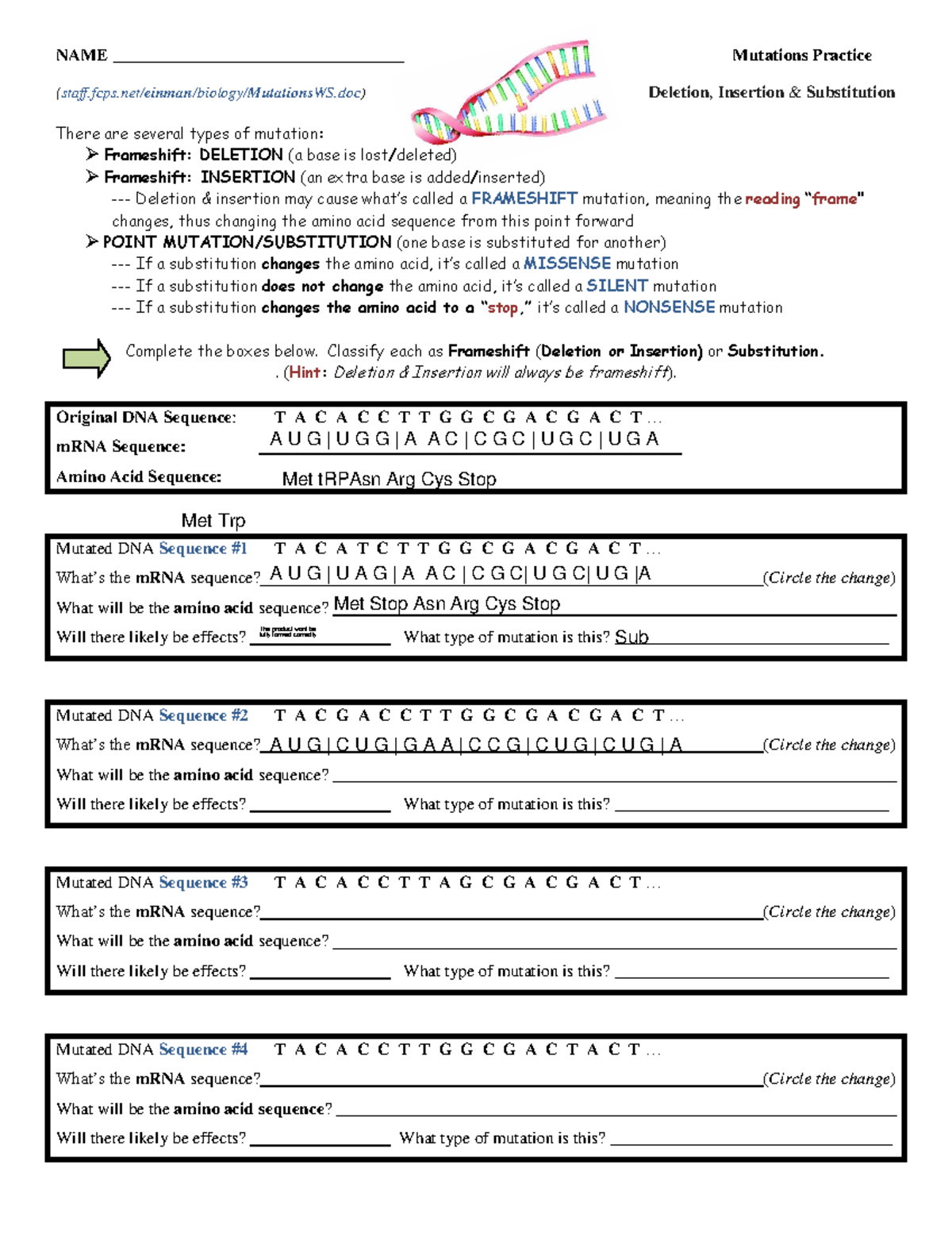 Genetic Mutations HW Worksheet - NAME ...