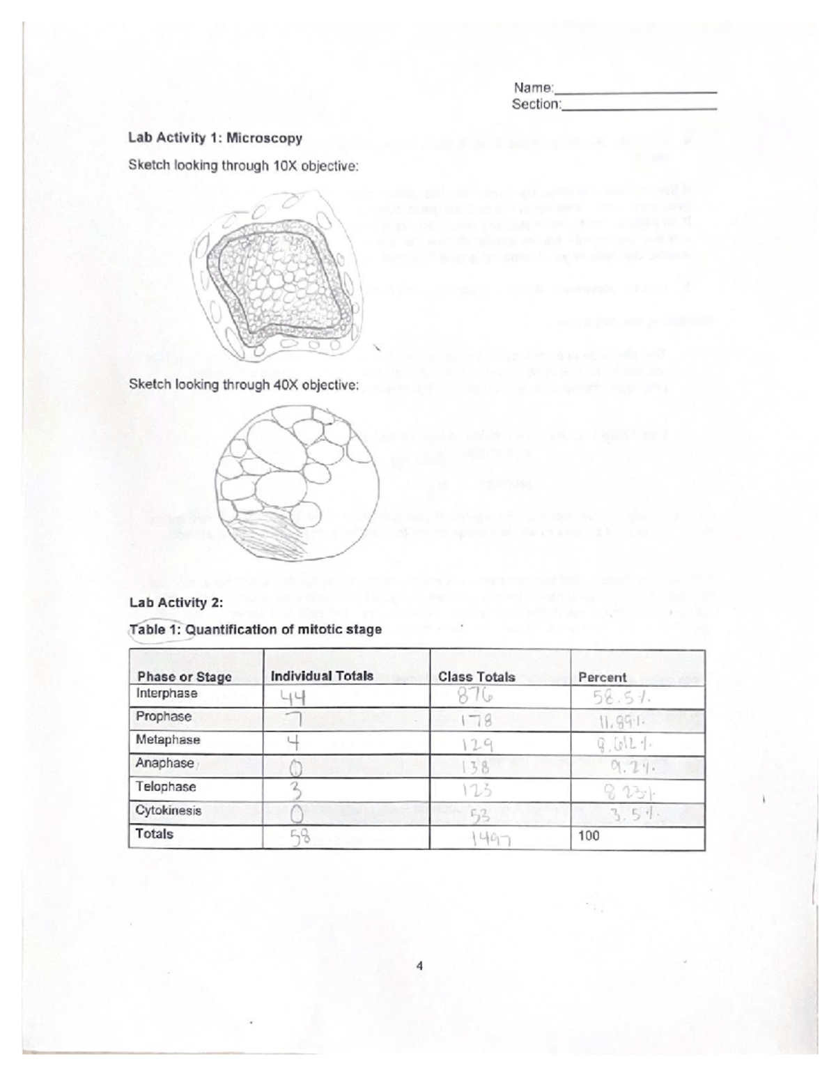 Cell Division Lab - Biology 111 Lab TAMU Prof Fletcher - BIOL 111 - Studocu