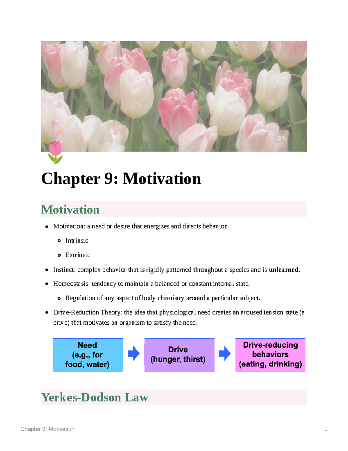 Chapter 9 Motivation - PSY 201 With Linz - , Chapter 9: Motivation ...