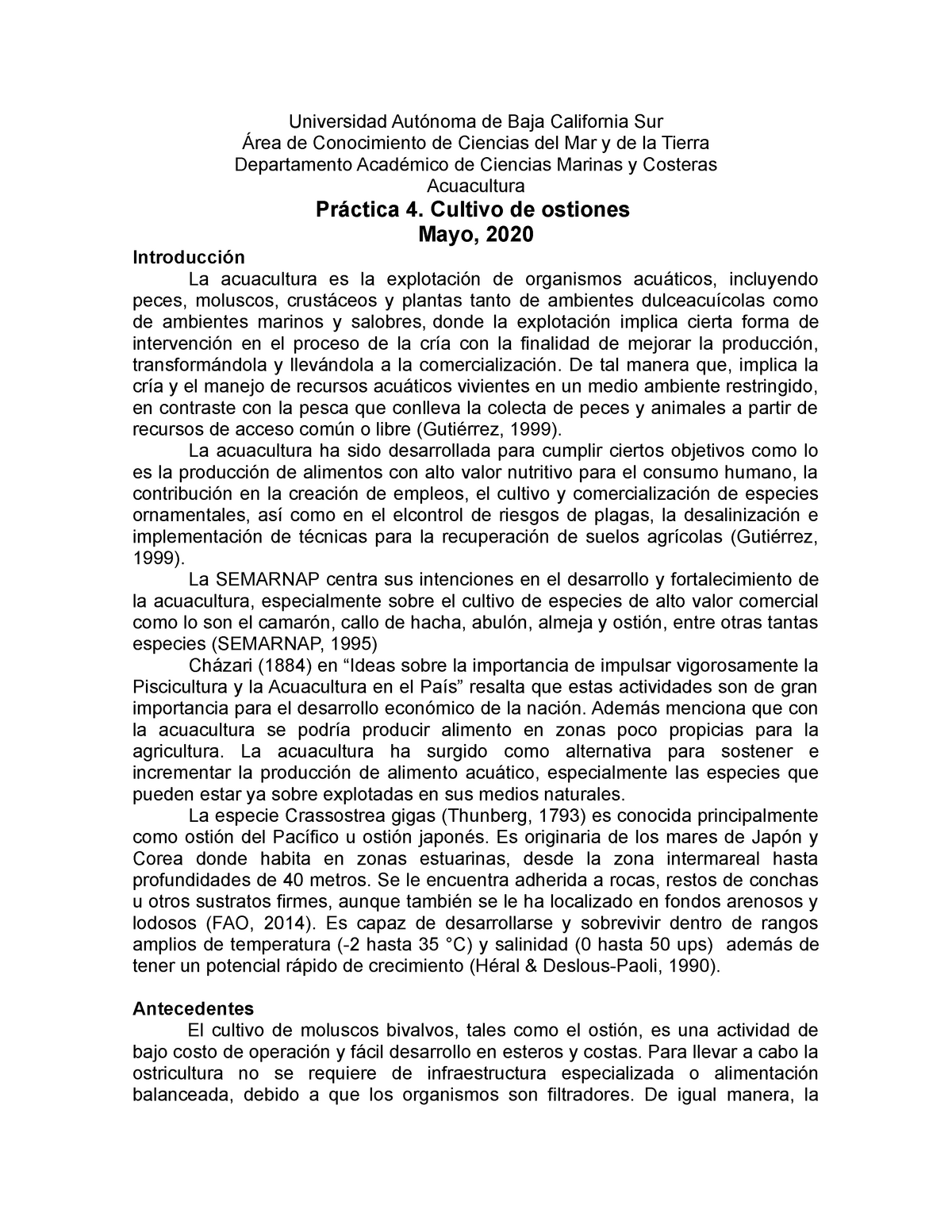 Acuacultura Practica 4-Ostiones - Universidad Autónoma de Baja ...