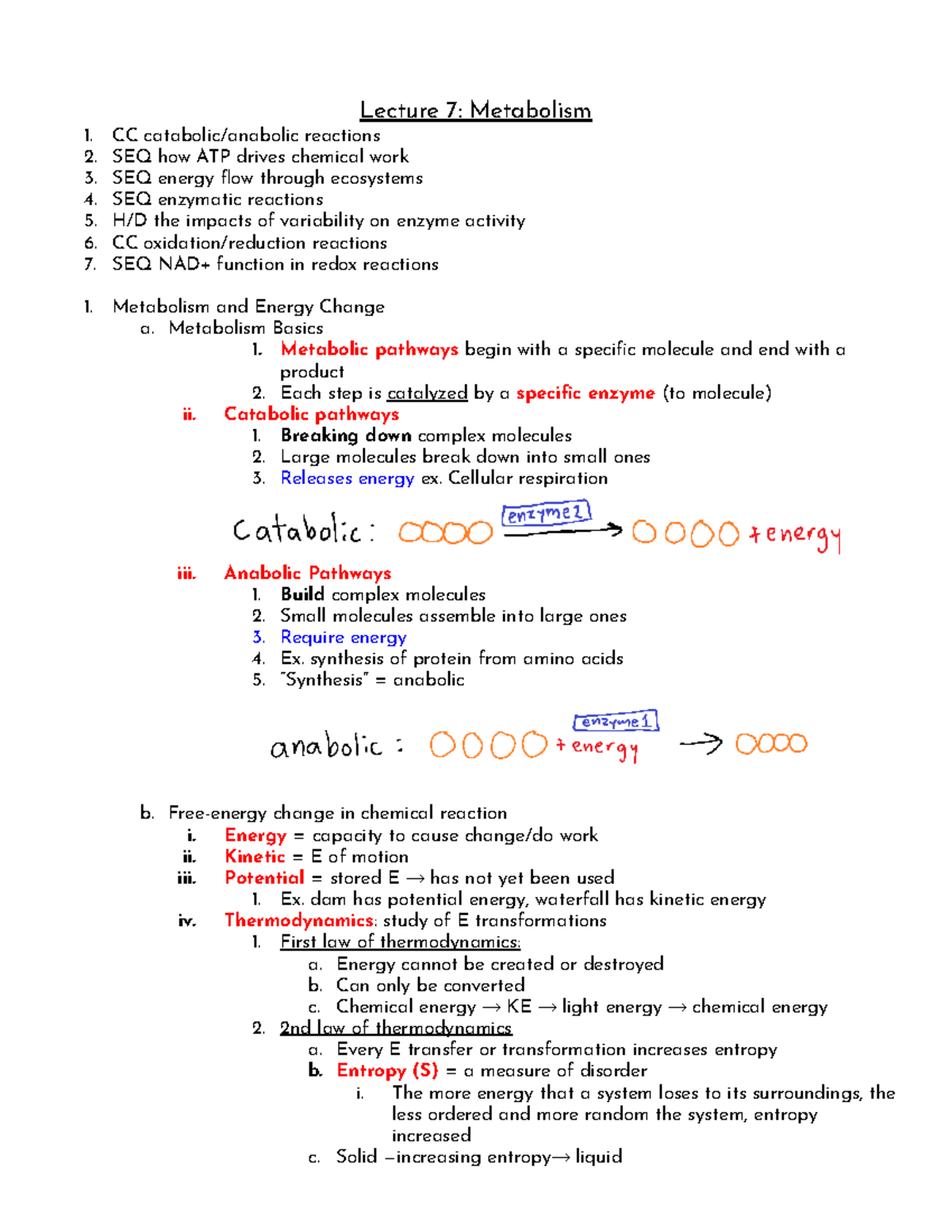 Biology Chapter 7 - Metabolism - Lecture 7: Metabolism CC catabolic ...