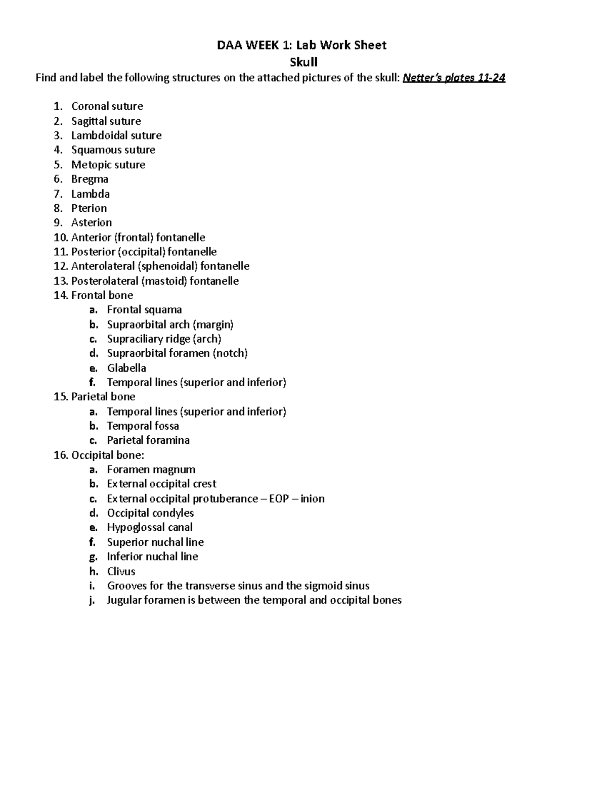 Skull Lab Quizlet 45 - mfoni4o