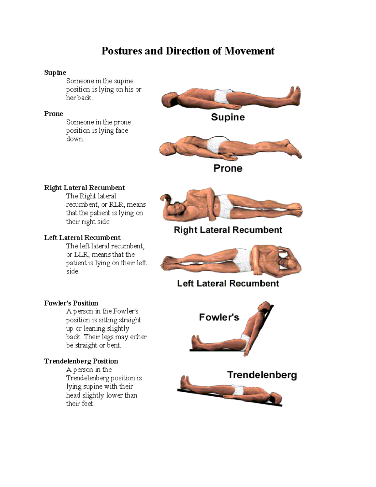 what is a lateral position meaning