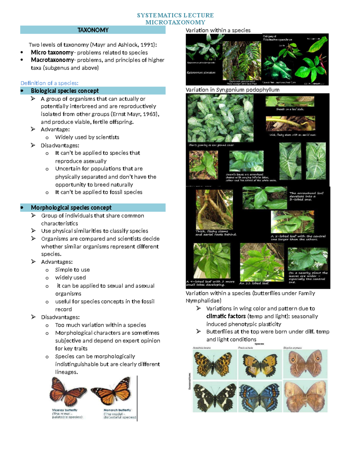 Systelec- Microtaxonomy - MICROTAXONOMY TAXONOMY Two levels of taxonomy ...