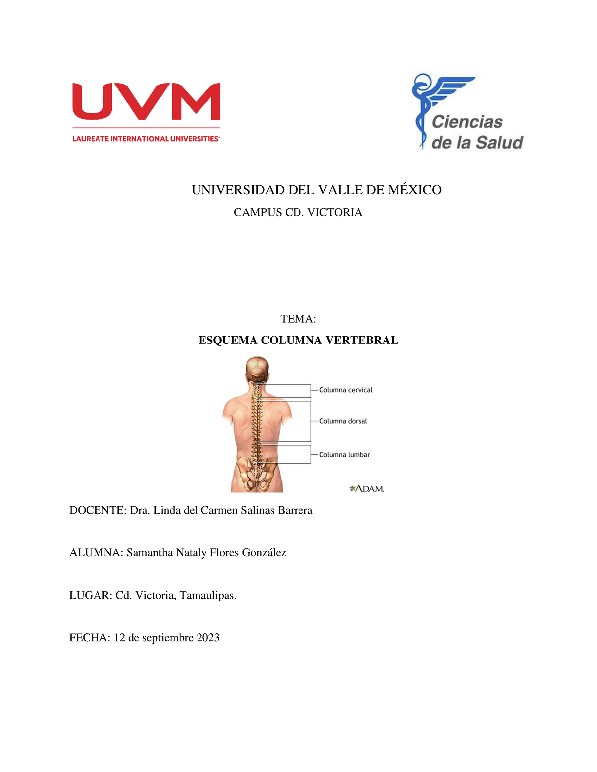 La Columna vertebral y sus movimientos – Entretanto