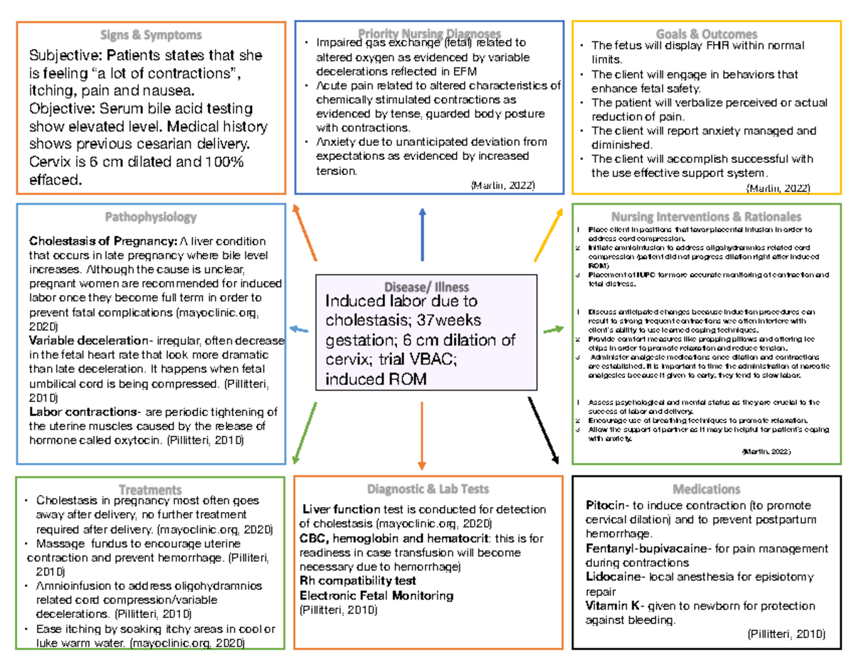 Care Map Sample Homework - Subjective: Patients States That She Is 