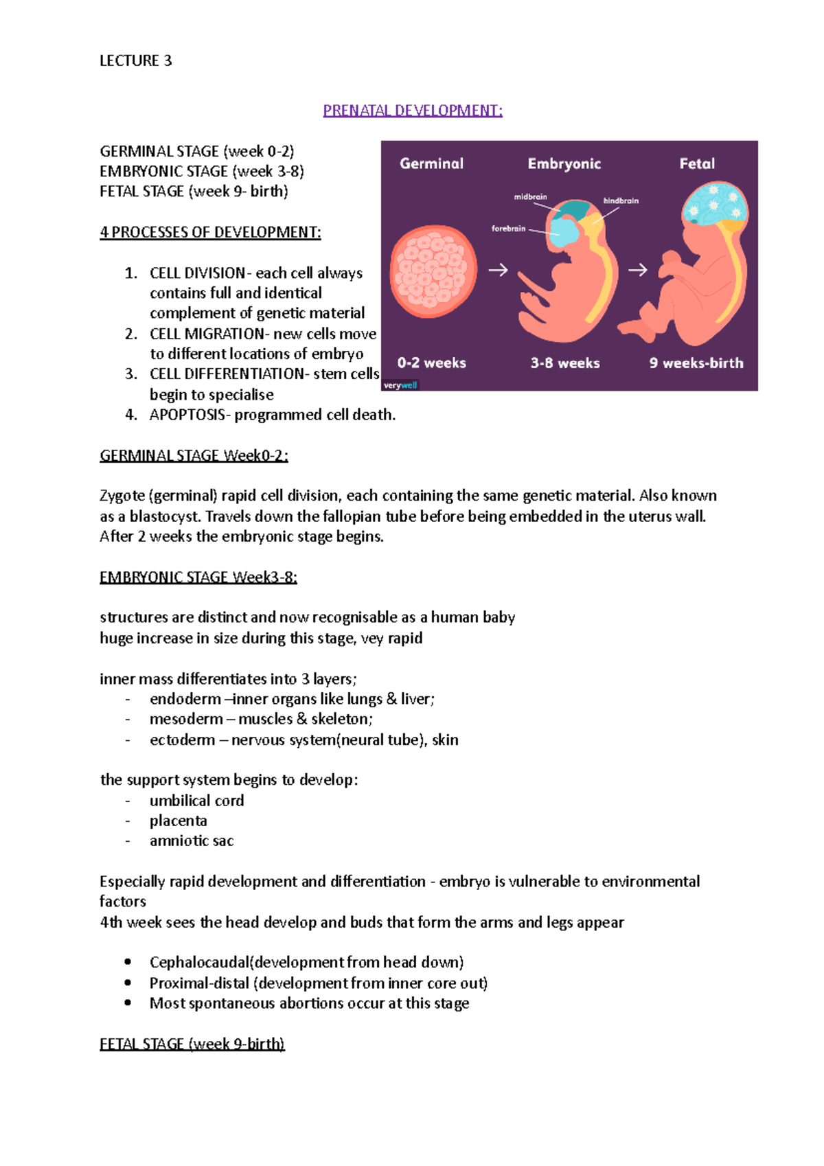 l3-prenatal-development-prenatal-development-germinal-stage-week-0