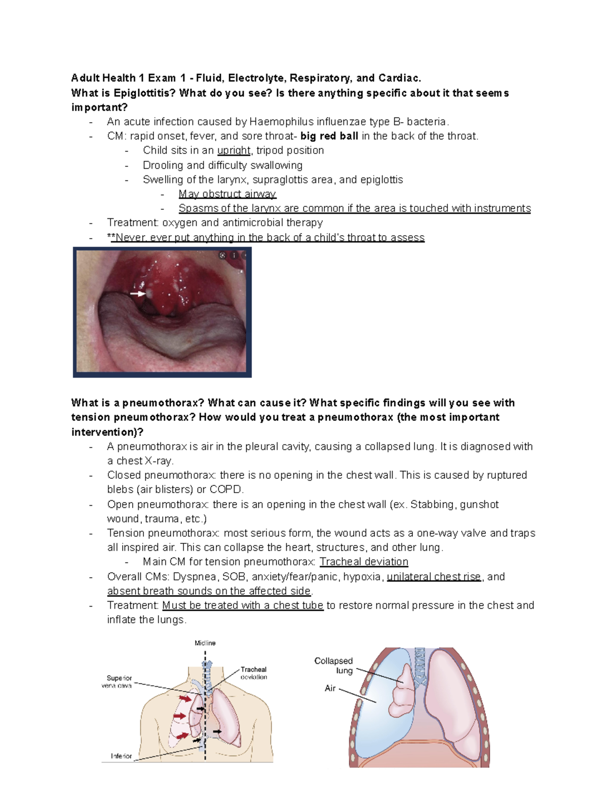 Adult Health Exam 1 Review Adult Health 1 Exam 1 Fluid, Electrolyte