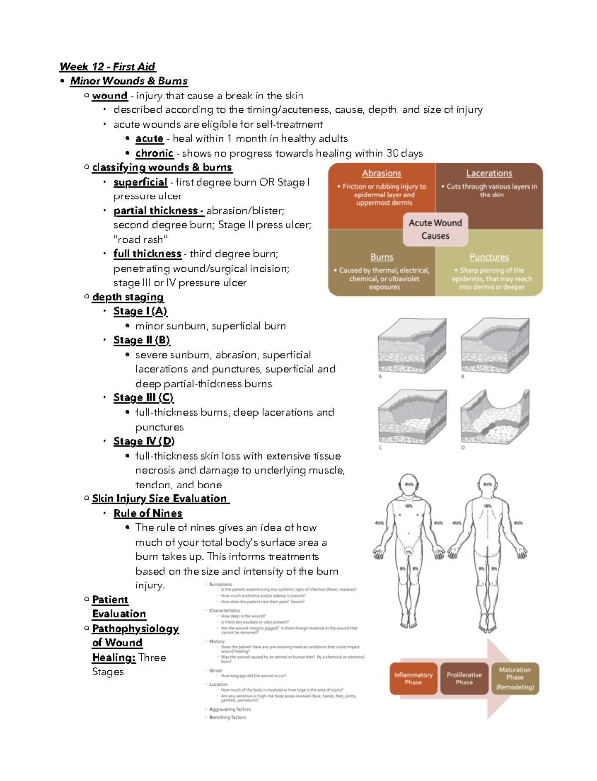 OTC I Final Exam Study Guide Week 12 First Aid Minor Wounds