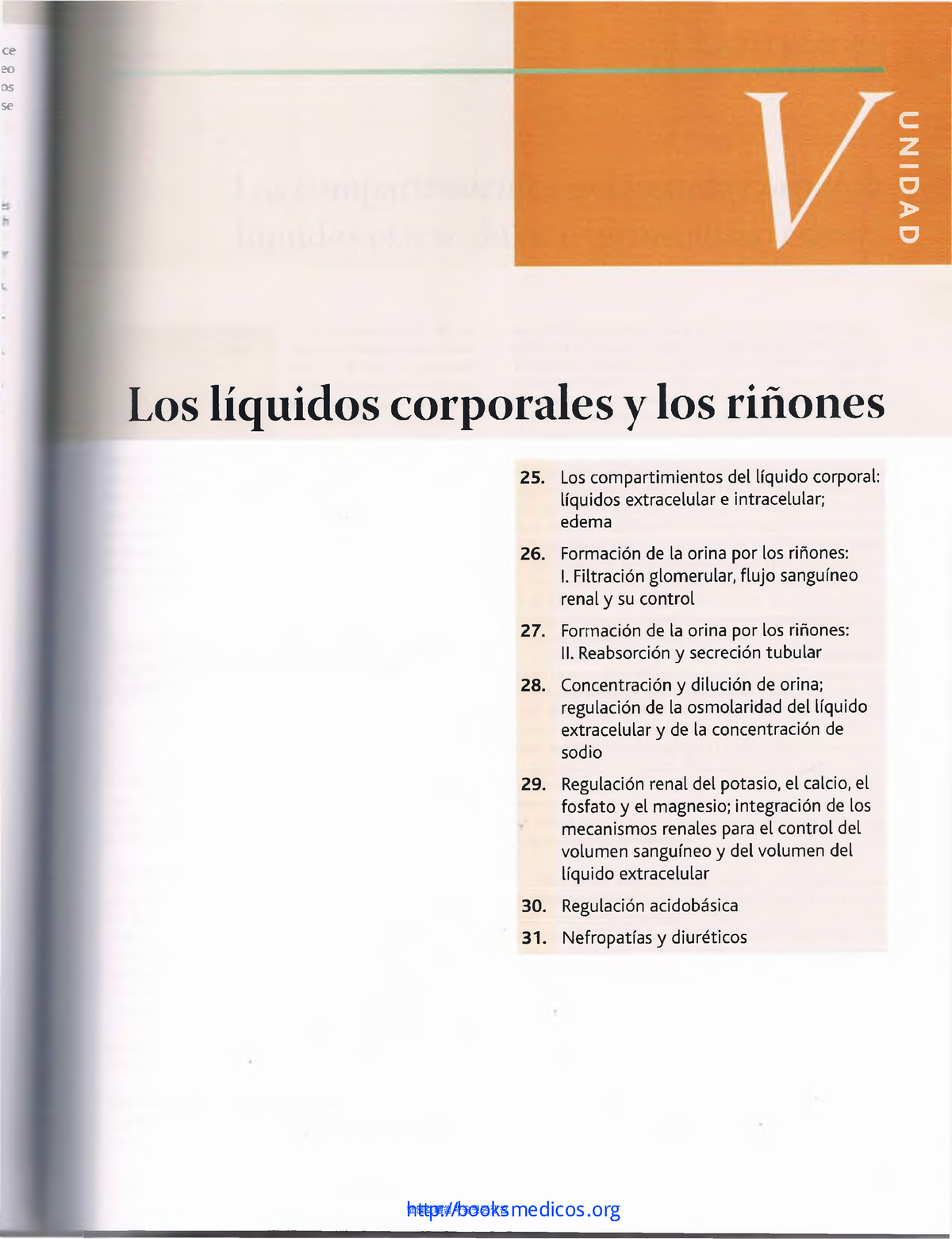 Rinones Y Liquidos Corporales Studocu