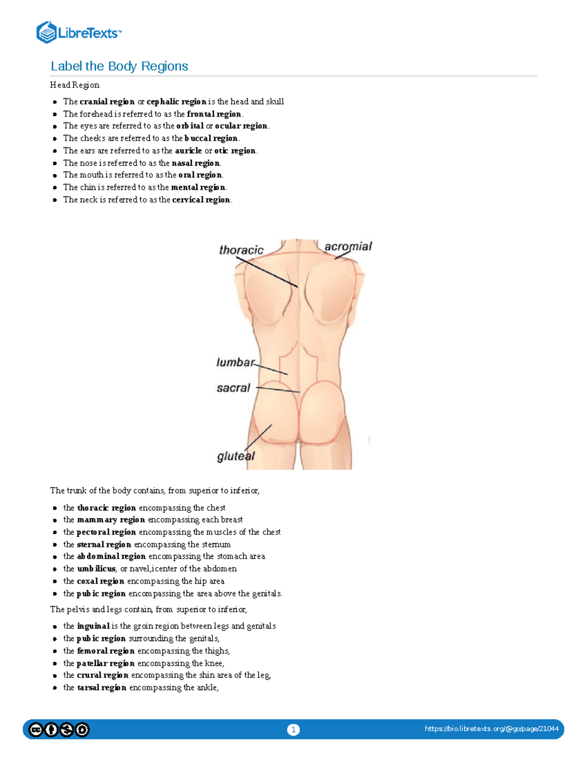 Label The Body Regions Body Region Notes Bio Libretexts Go Page Label The Body Regions