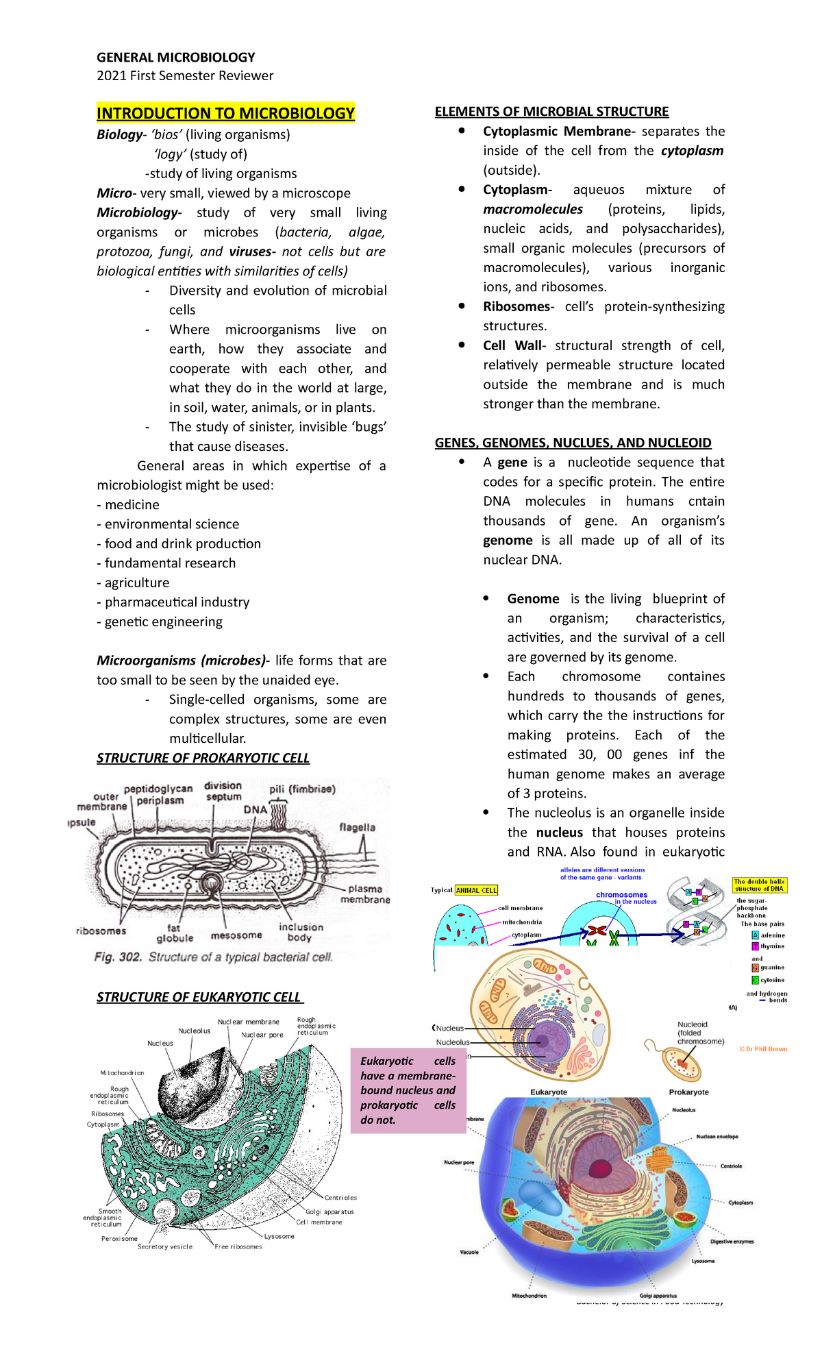 General Microbiology Reviewer 1 - GENERAL MICROBIOLOGY 2021 First ...