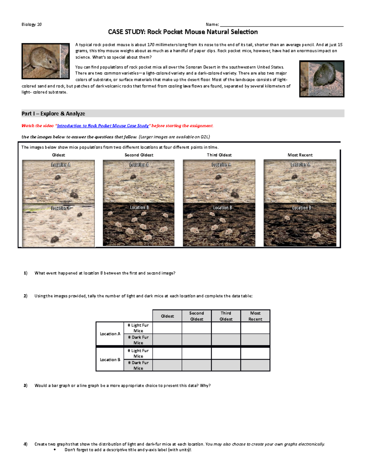 task-rock-pocket-mouse-biology-20-name
