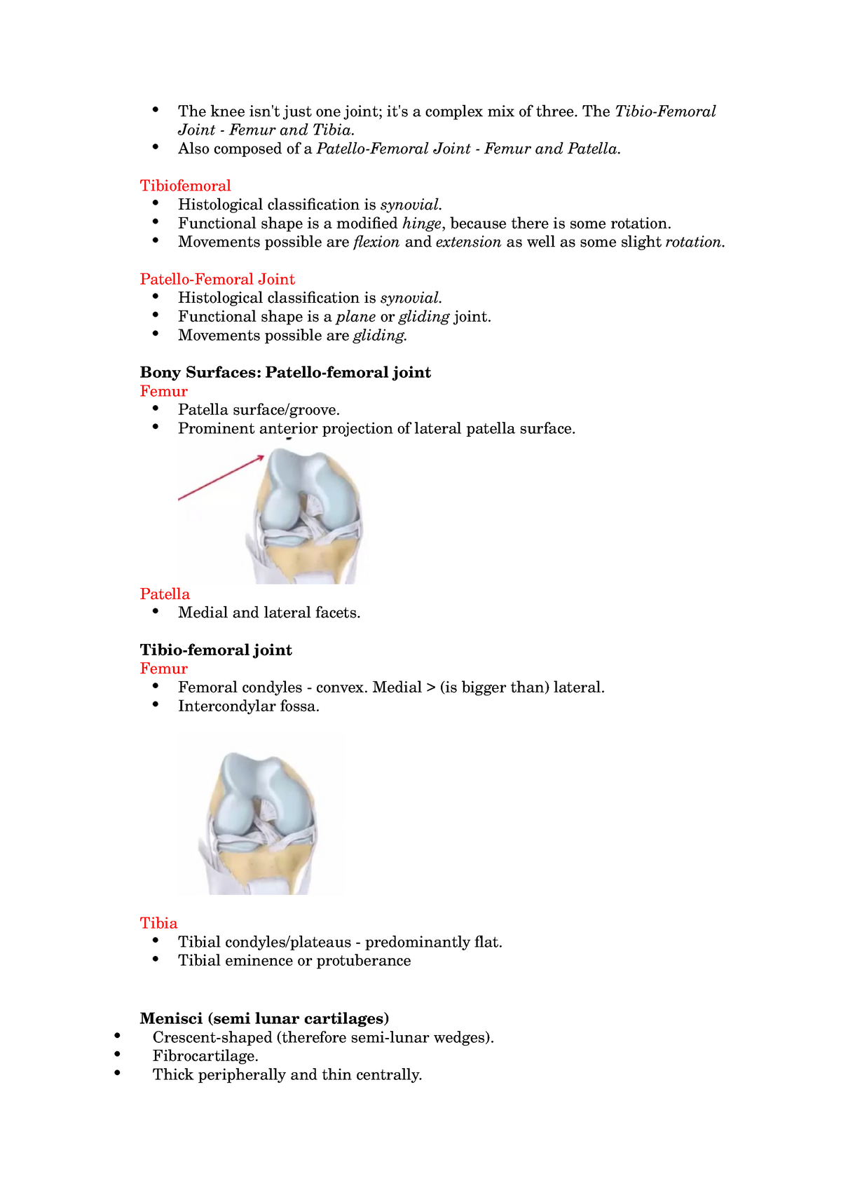 The knee - the knee notes - The knee just one a complex mix of three ...