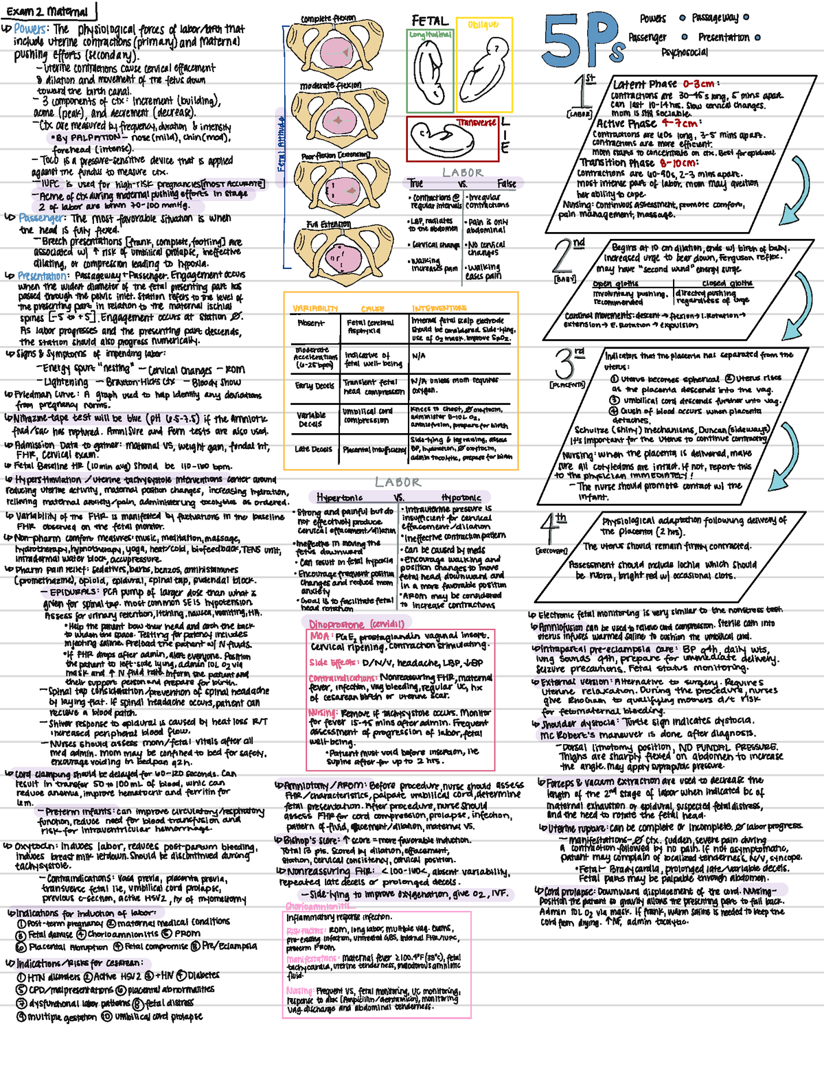 Maternal Exam 2 - Units 4-6 - NSG 3500 - Studocu