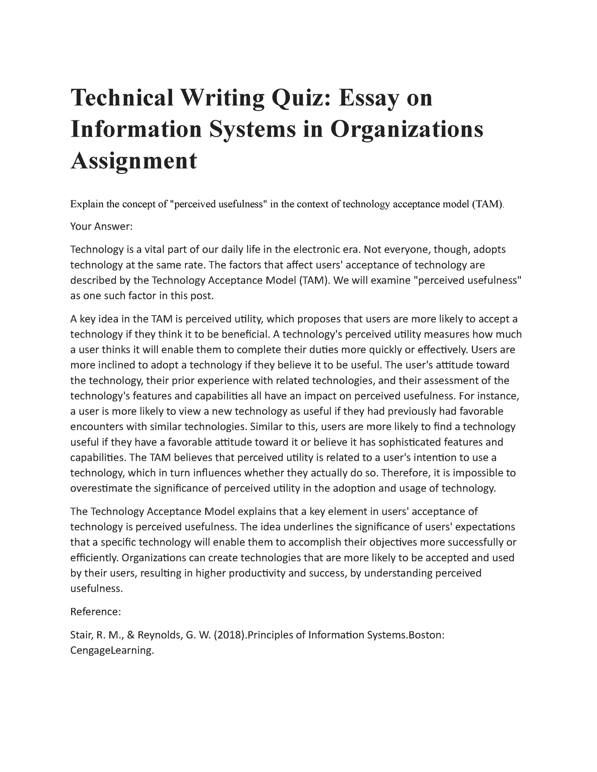 essay on information systems in organizations assignment