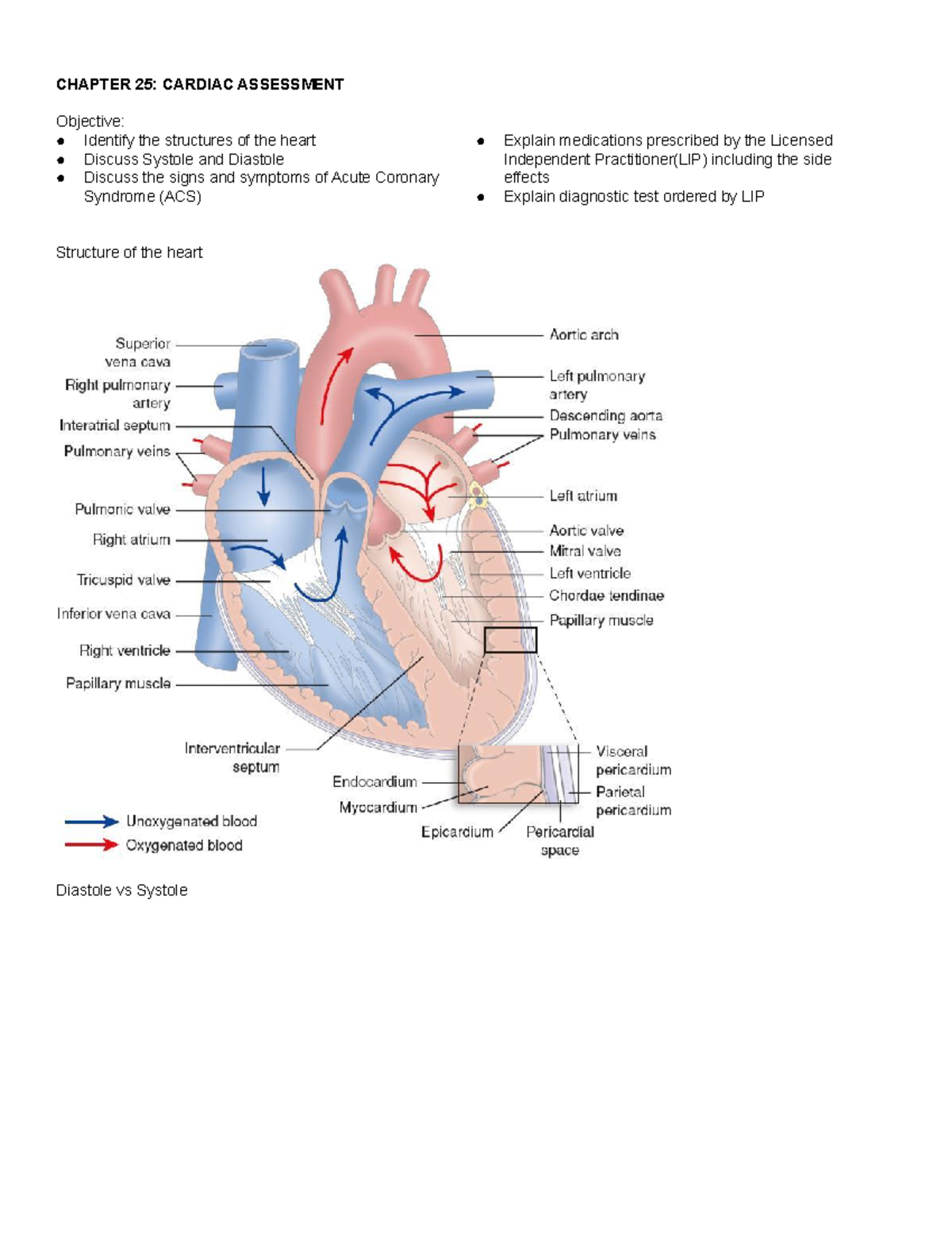 Cardiovascular Chaptersreview - CHAPTER 25: CARDIAC ASSESSMENT ...