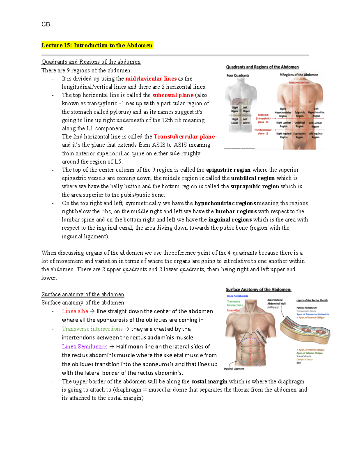 L15 - Dr. Ventura - Lecture 15: Introduction to the Abdomen Quadrants ...