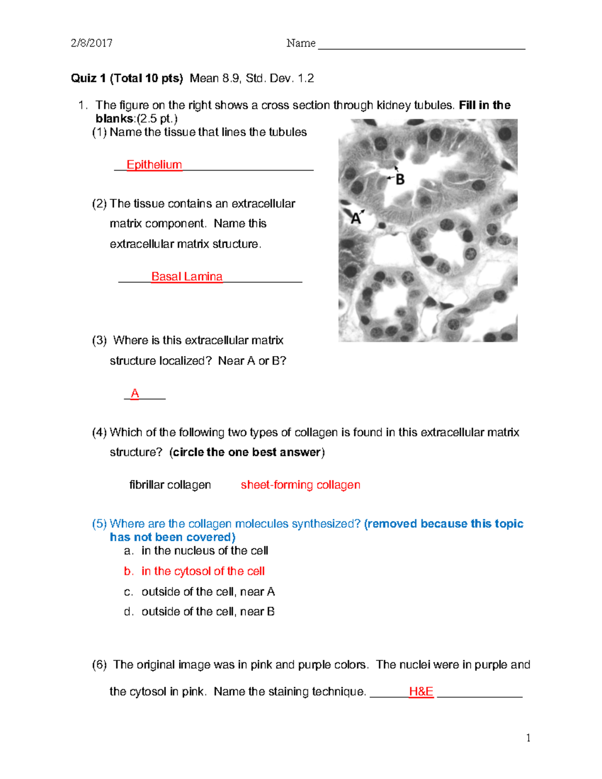 Cell Bio Eng Quiz1 - Quiz 1 questions and solutions. - 2/8/2017 Name ...