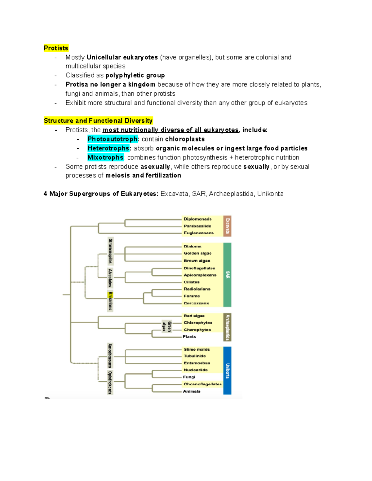 M1 Lec 3 (Protists) - Lecture notes 3 - BIOL 005B - Introduction To ...