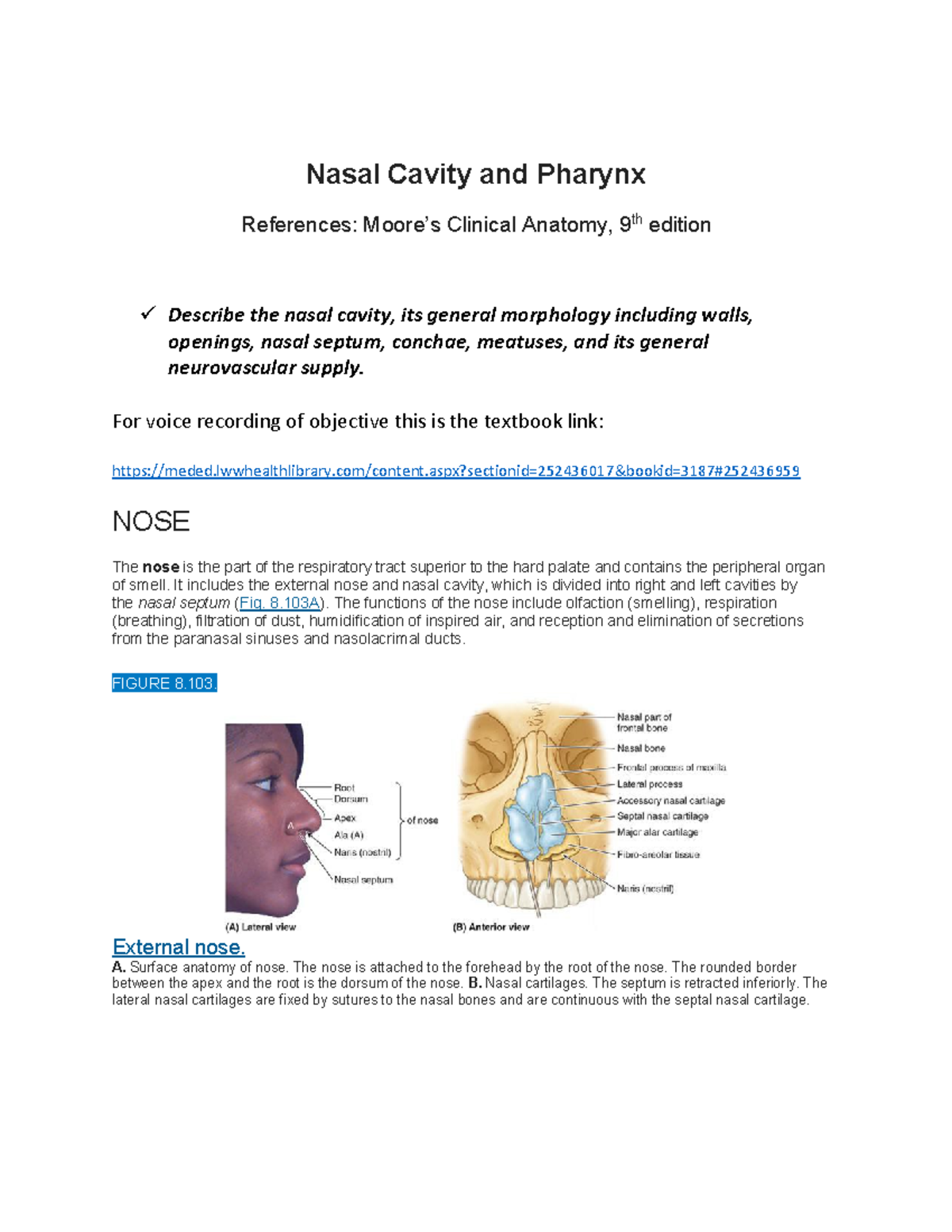 Nasal cavity and pharynx learning materials - Nasal Cavity and Pharynx ...