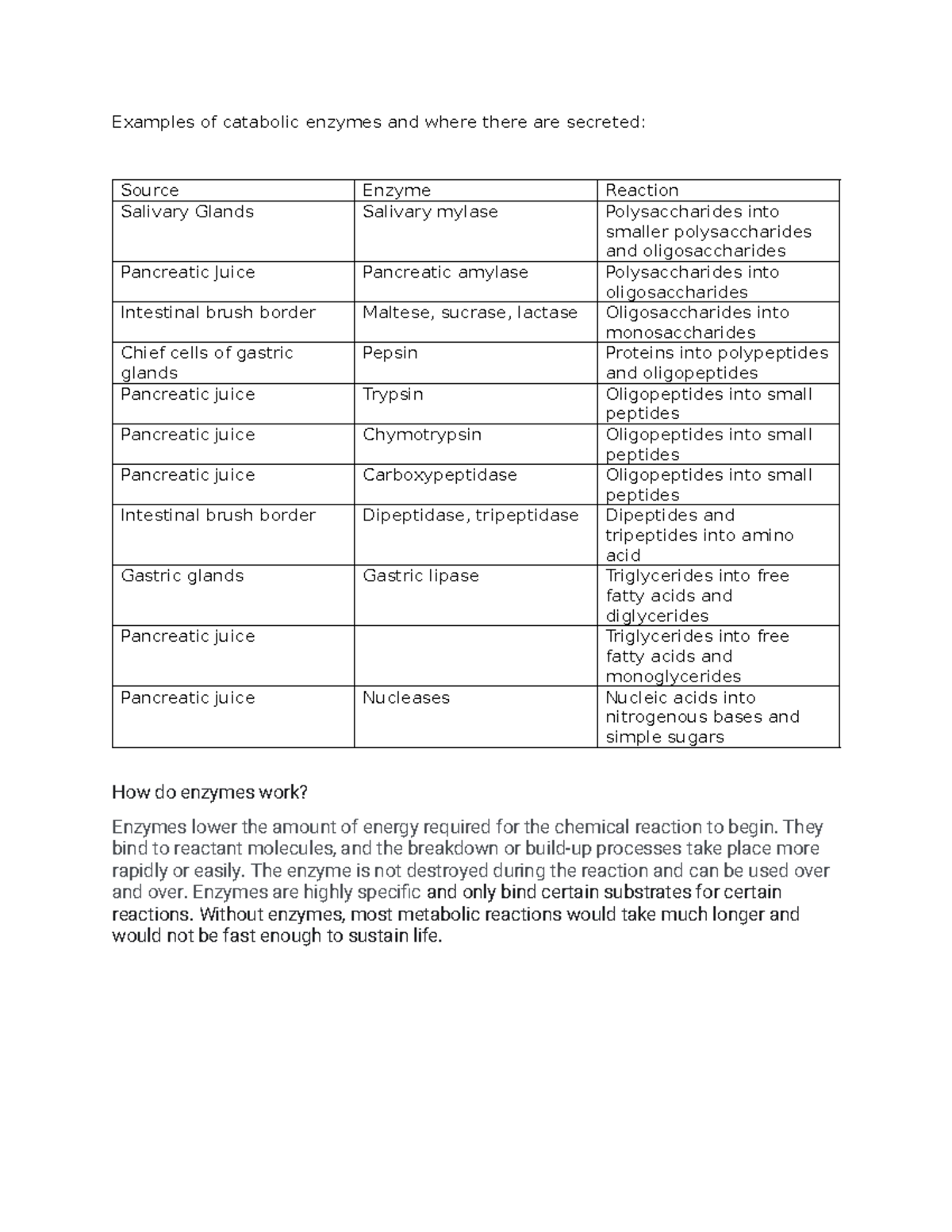 Enzyme chart - Examples of catabolic enzymes and where there are ...