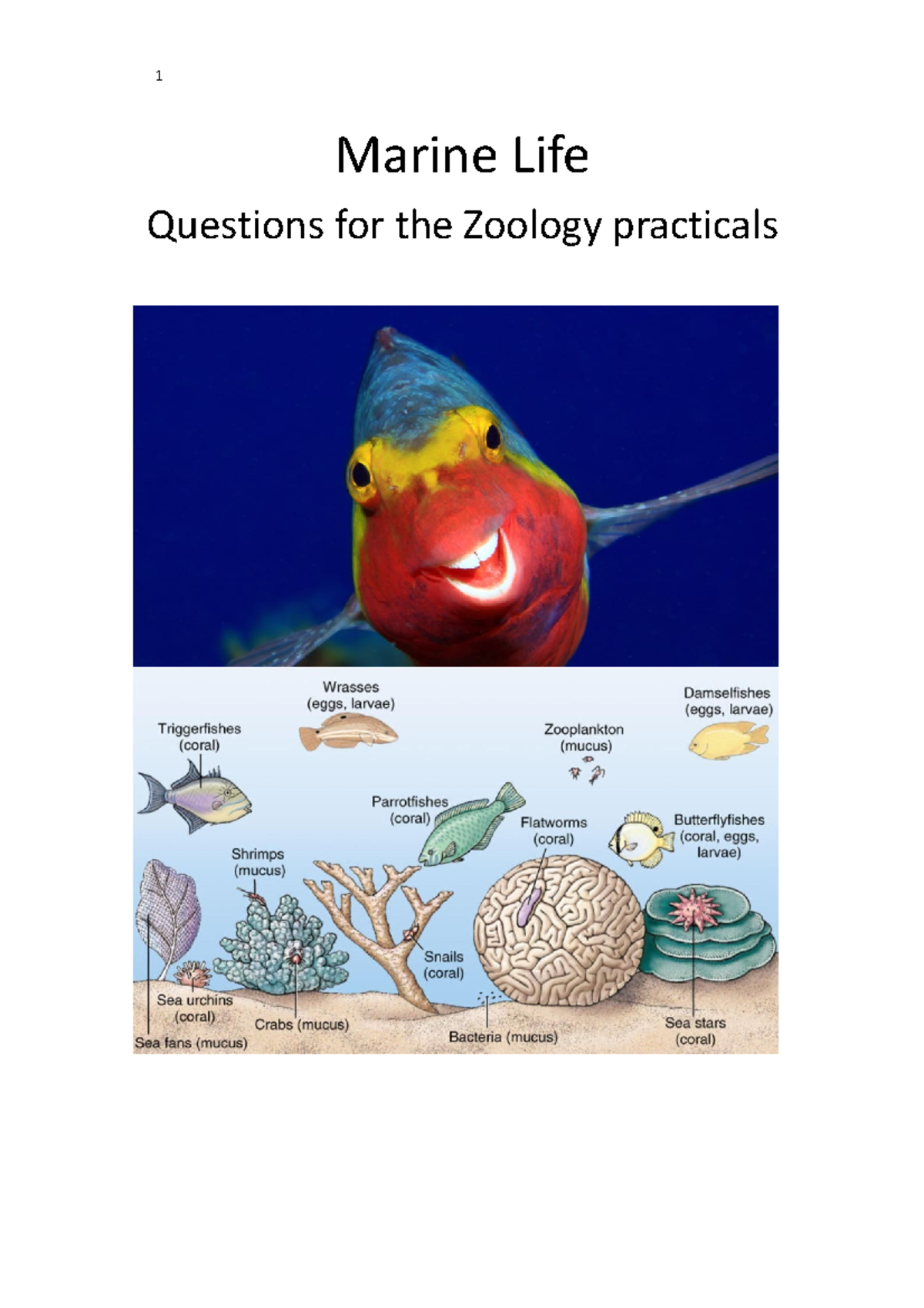 Practical questions 1 Marine Life Questions for the Zoology
