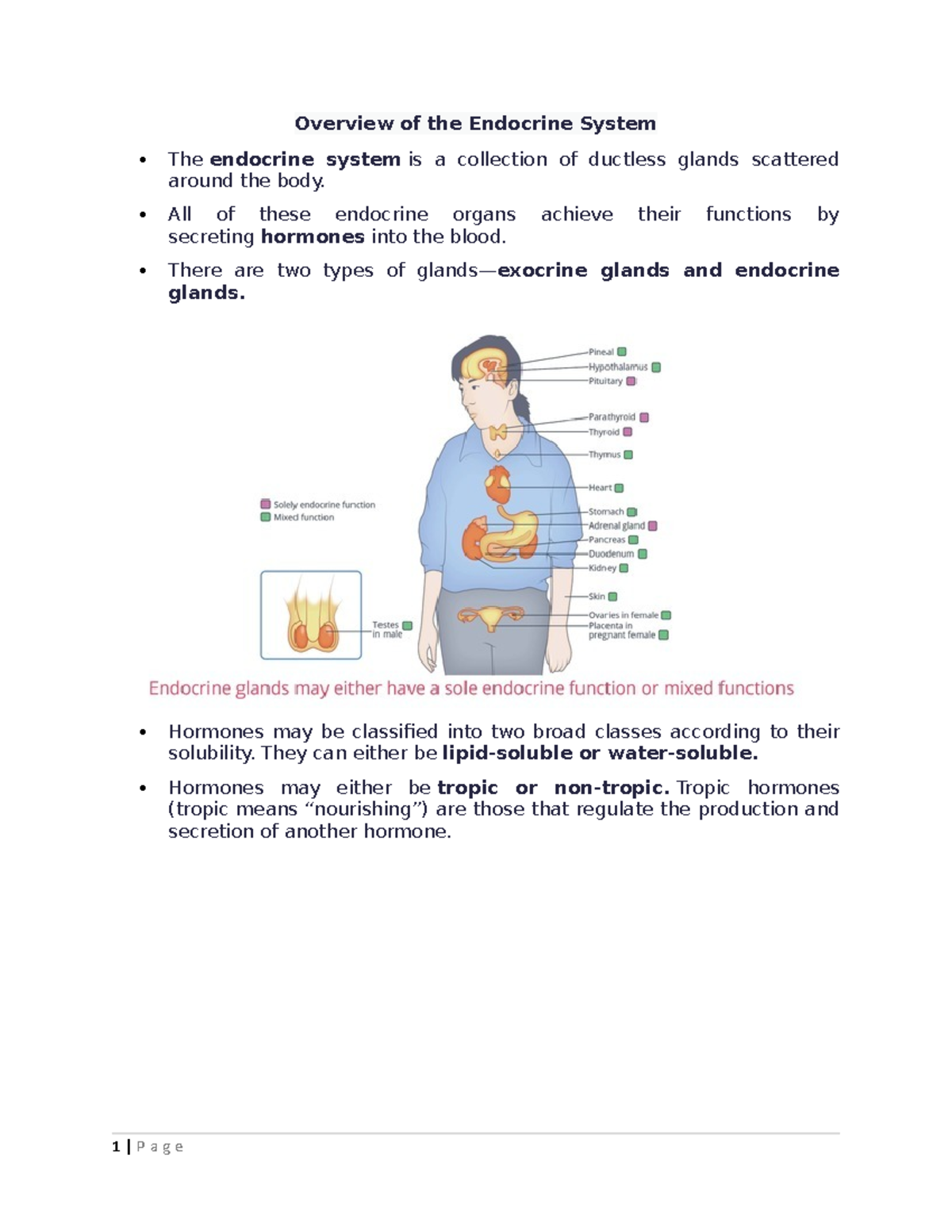 Overview of the Endocrine System - All of these endocrine organs ...