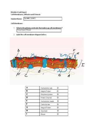 Bacterial-Identification-Lab-Worksheet-Student 2 - Bacterial ...