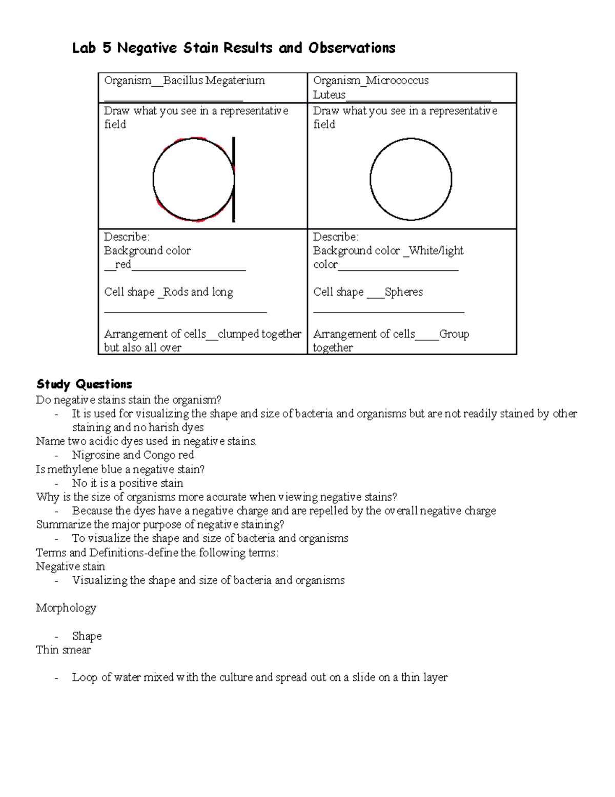 Lab 5 Study Questions Negative Capsule Stain - Lab 5 Negative Stain ...