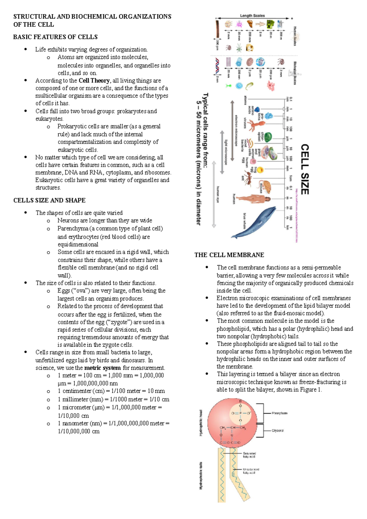 Structural AND Biochemical Organizations OF THE CELL STRUCTURAL AND