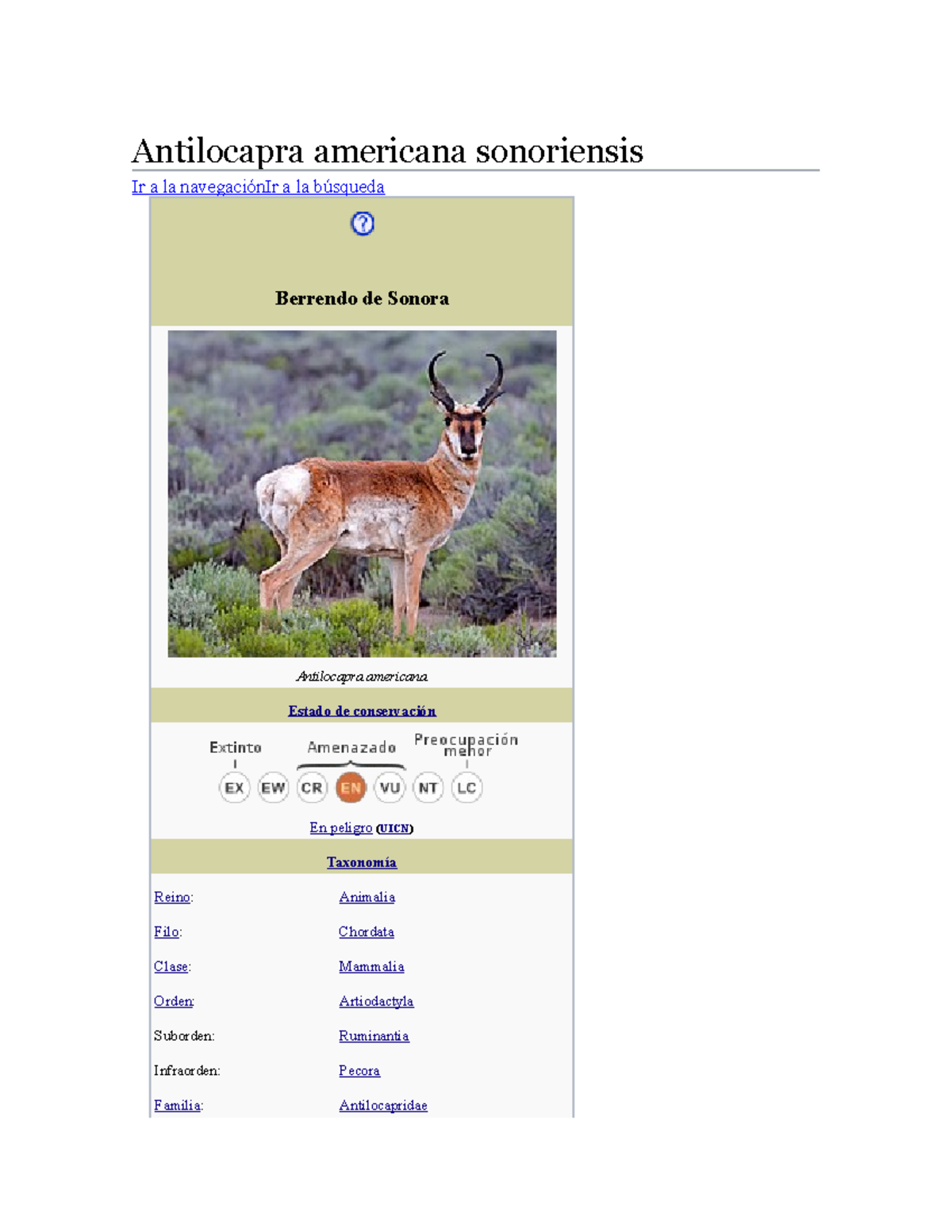 Antilocapra actividad 3 Antilocapra americana sonoriensis Ir a la