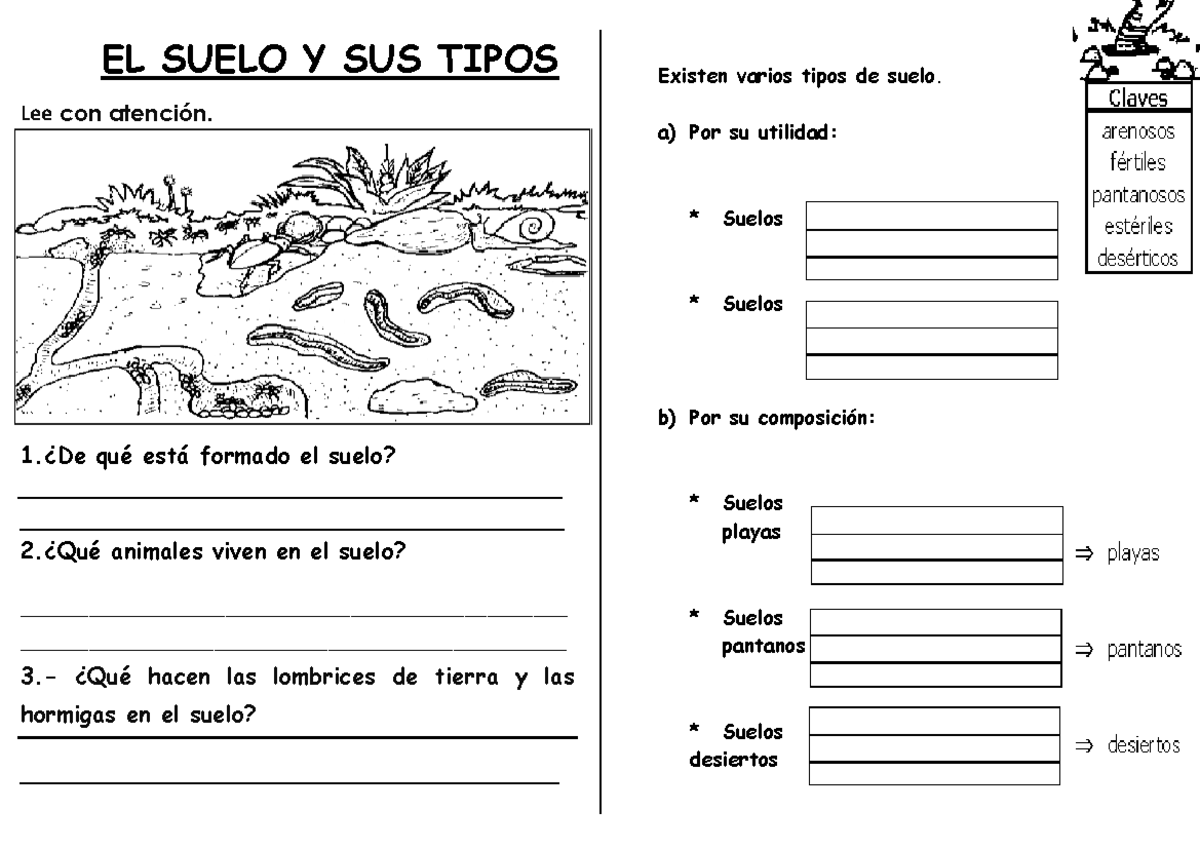 El Suelo Y Sus Tipos