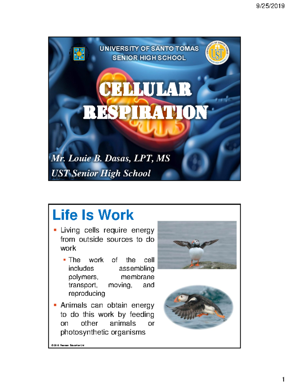 Cellular Respiration Lecture Notes - CELLULAR RESPIRATION Mr. Louie B ...