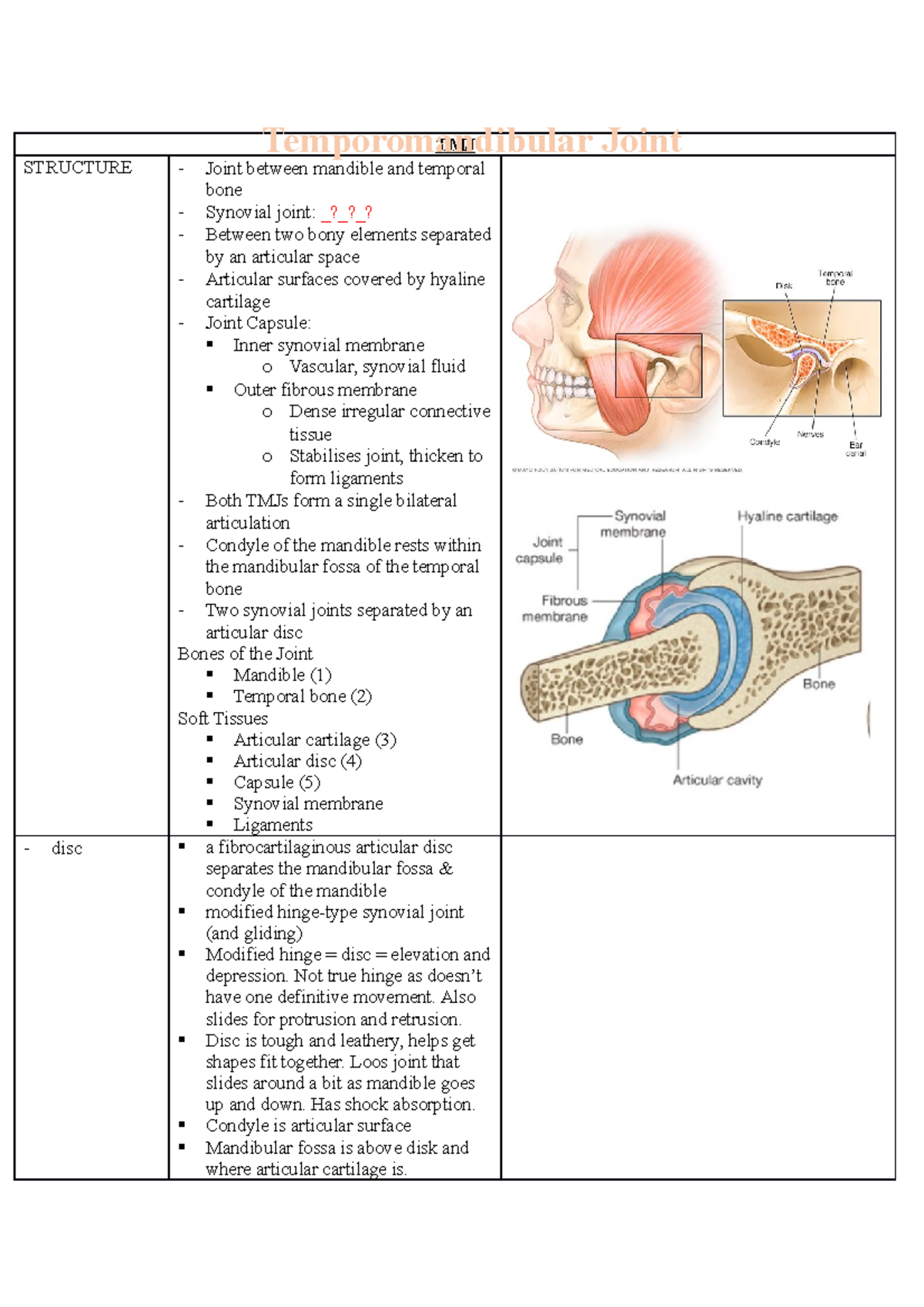 TMJ - TMJ - TMJ STRUCTURE - Joint between mandible and temporal bone ...