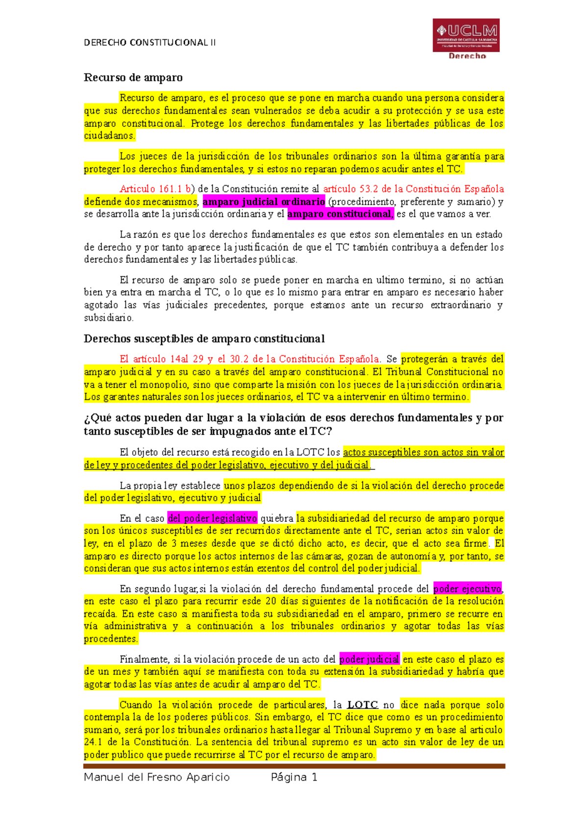 Recurso de amparo y habeas corpus - DERECHO CONSTITUCIONAL II Recurso ...