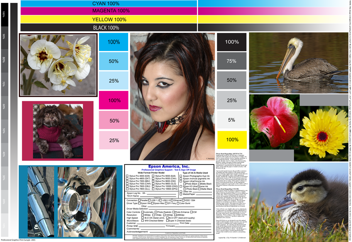 Print Sample 1 - ghgh - YELLOW 100% CYAN 100% MAGENTA 100% BLACK 100% ...