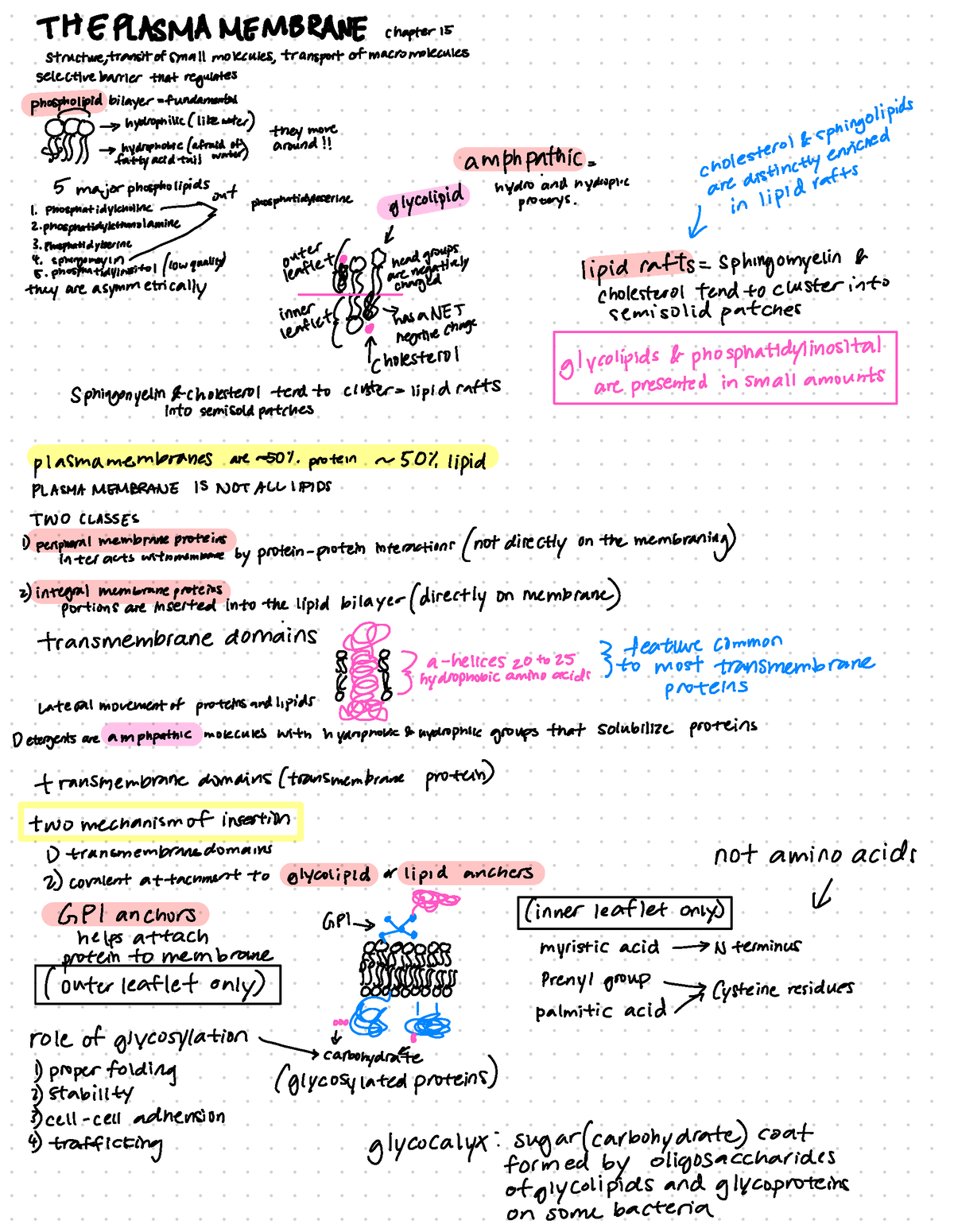 Lecture - All Course Notes - BI 203 - BU - Studocu