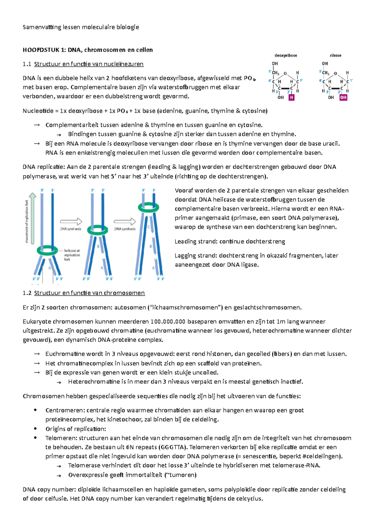 Moleculaire Biologie: Lessen Op Campus - HOOFDSTUK 1: DNA, Chromosomen ...