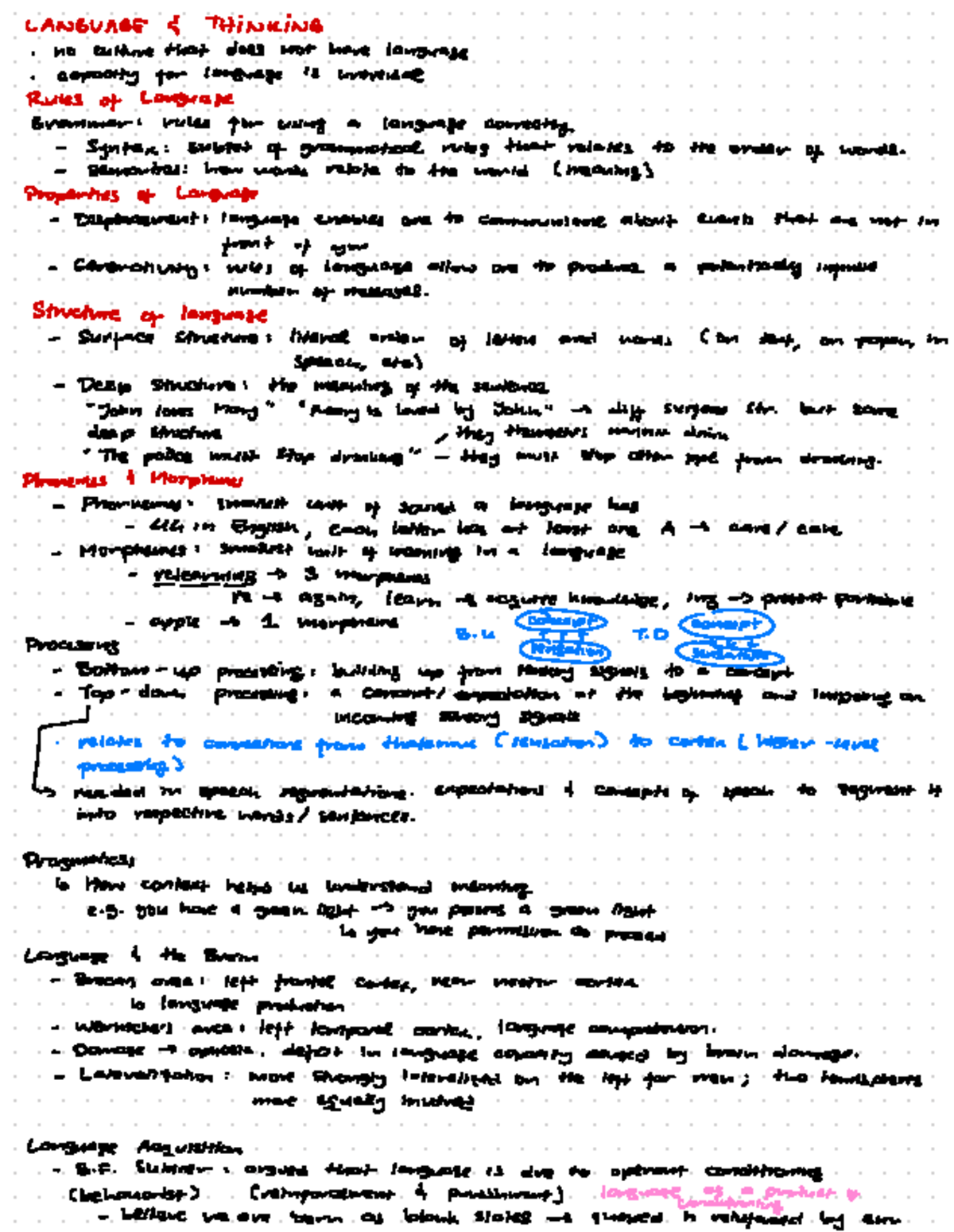 Language and Thinking - LANGUAGE & THINKING no culture that does not ...