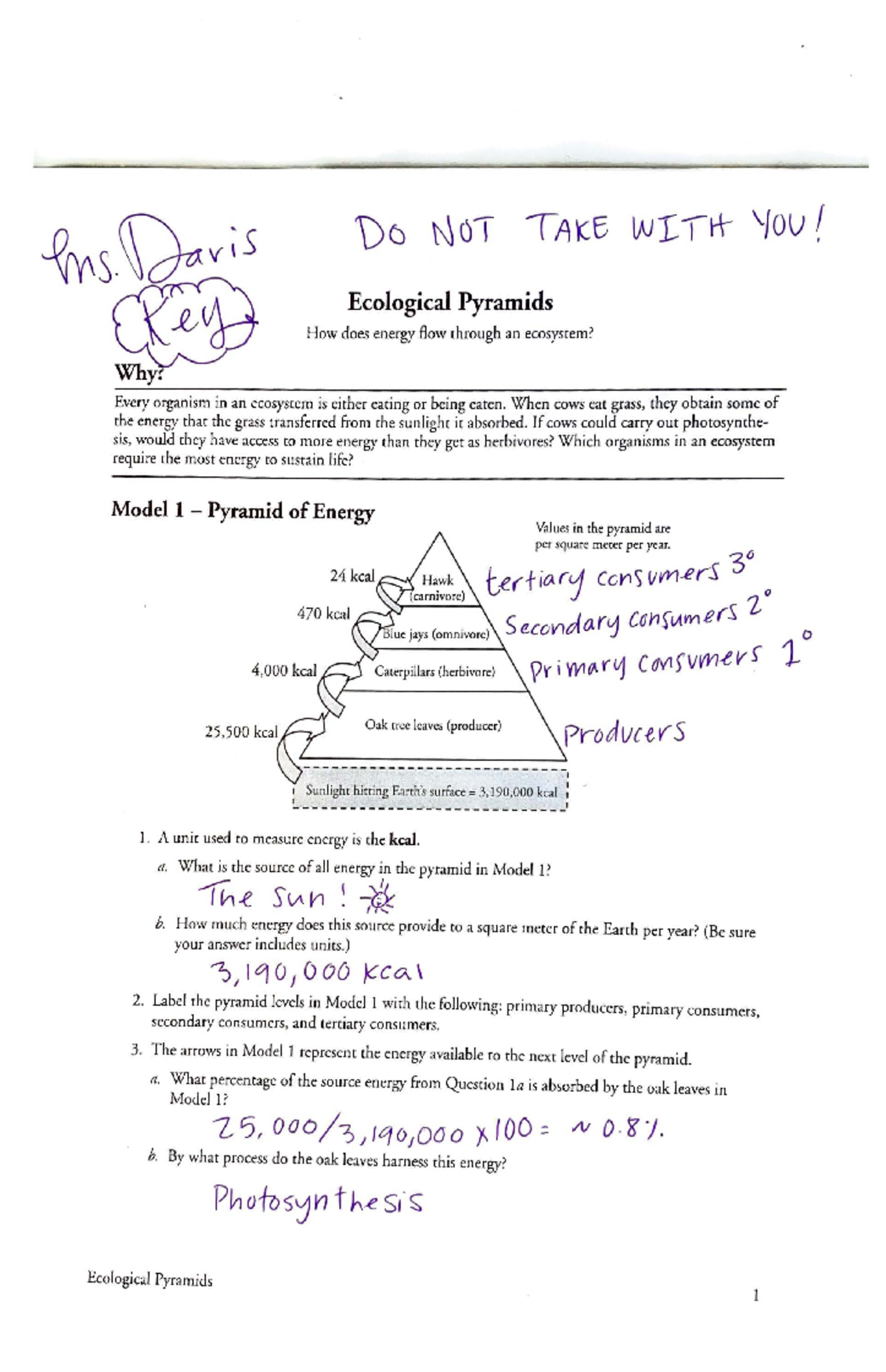 Ecological pyramids pogil key - TAK EcologicalPyramids How does energy ...