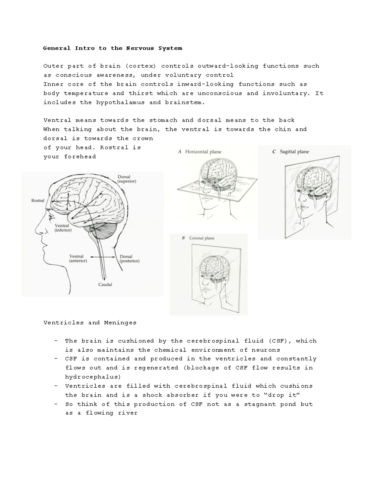 nsci100-lecture-notes-general-intro-to-the-nervous-system-outer-part